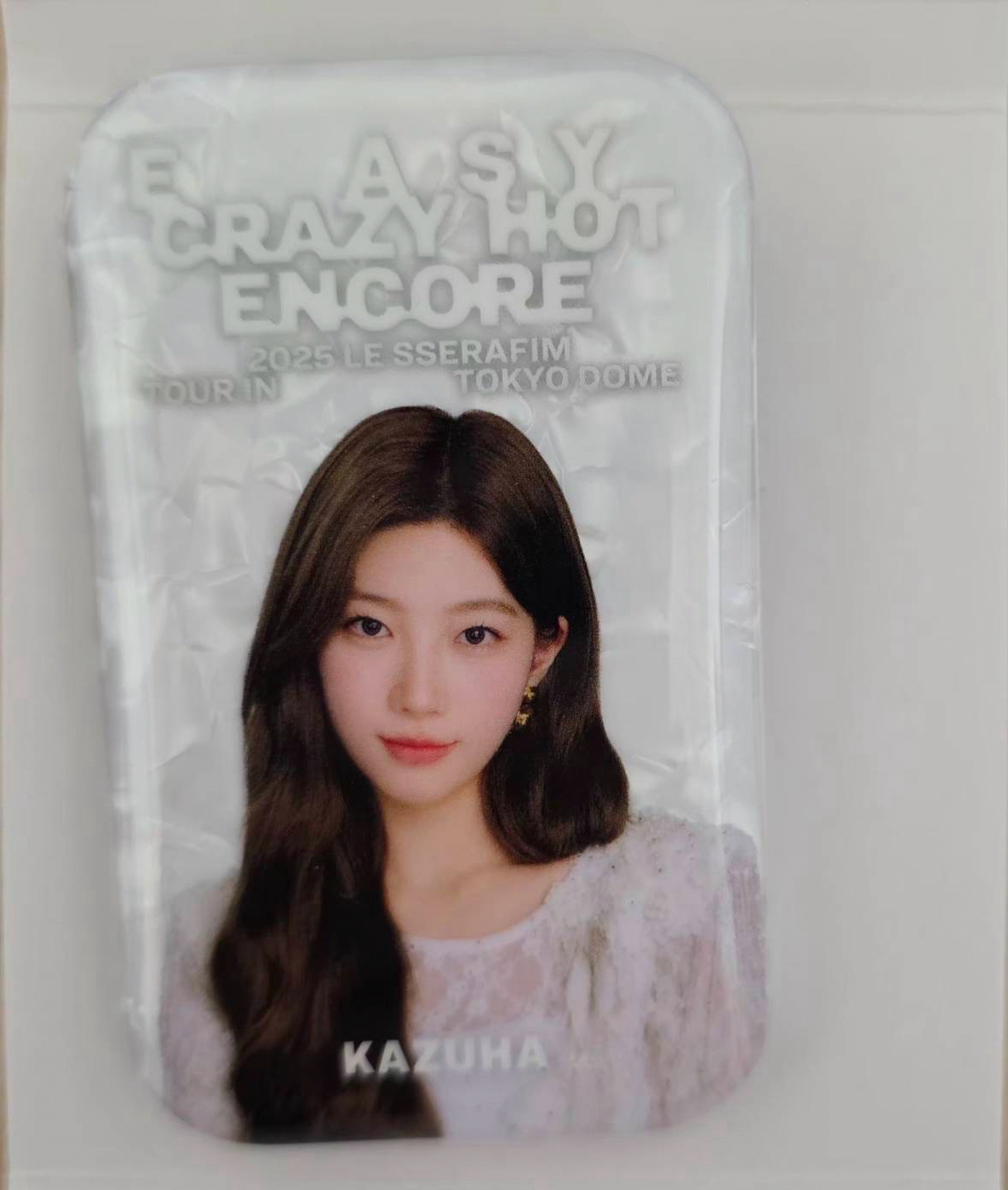 一葉長徽章+允真長徽章