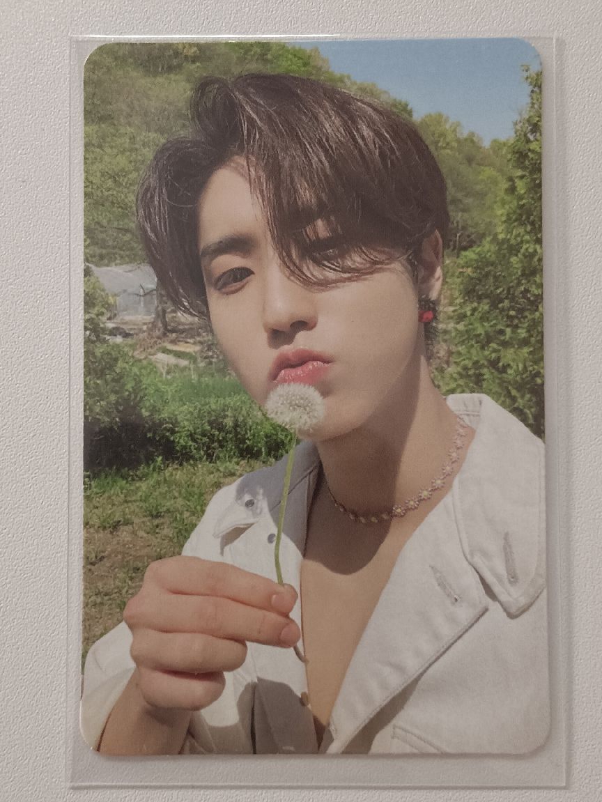 一些小鼠的卡🐿️