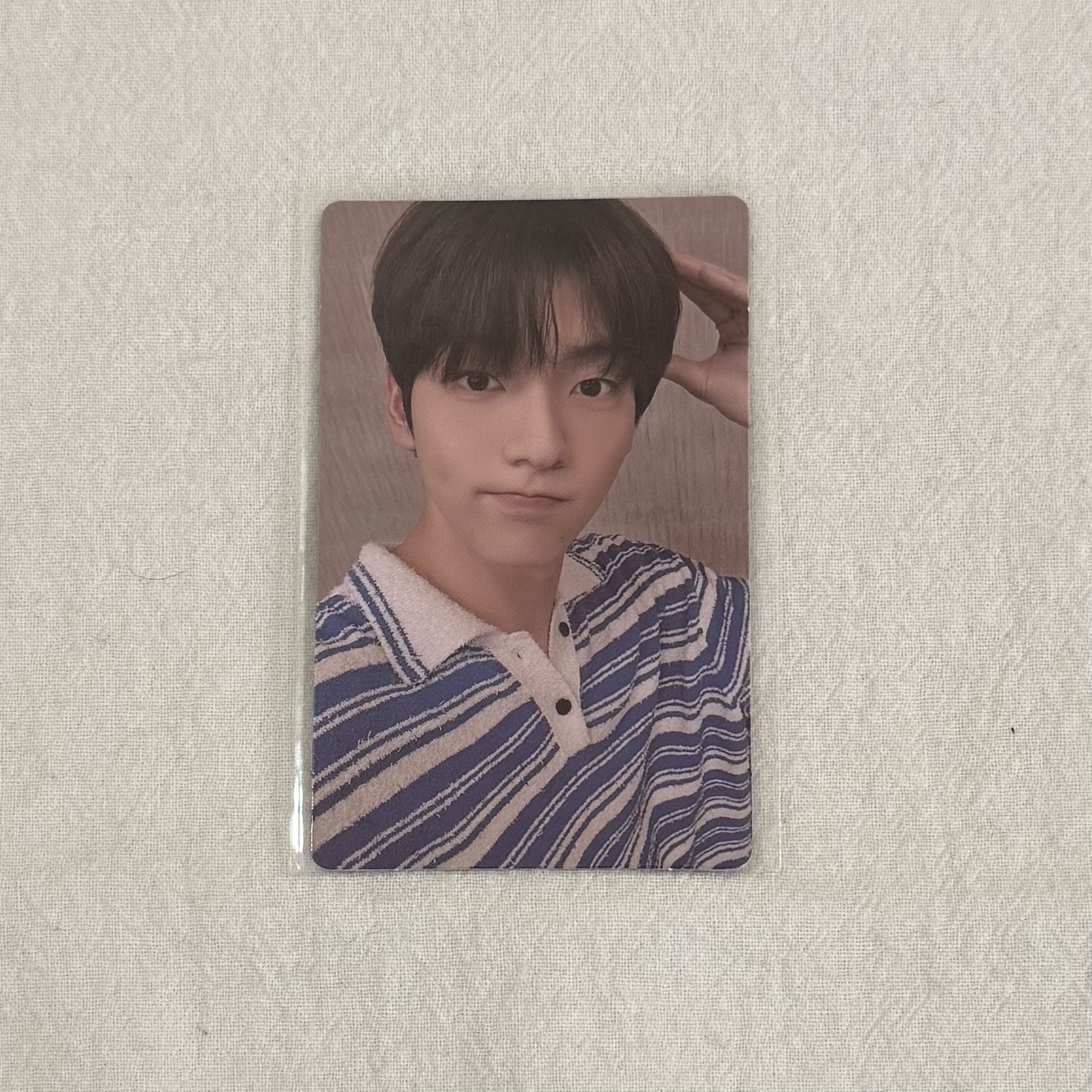 迷七 WVS幸運卡彬