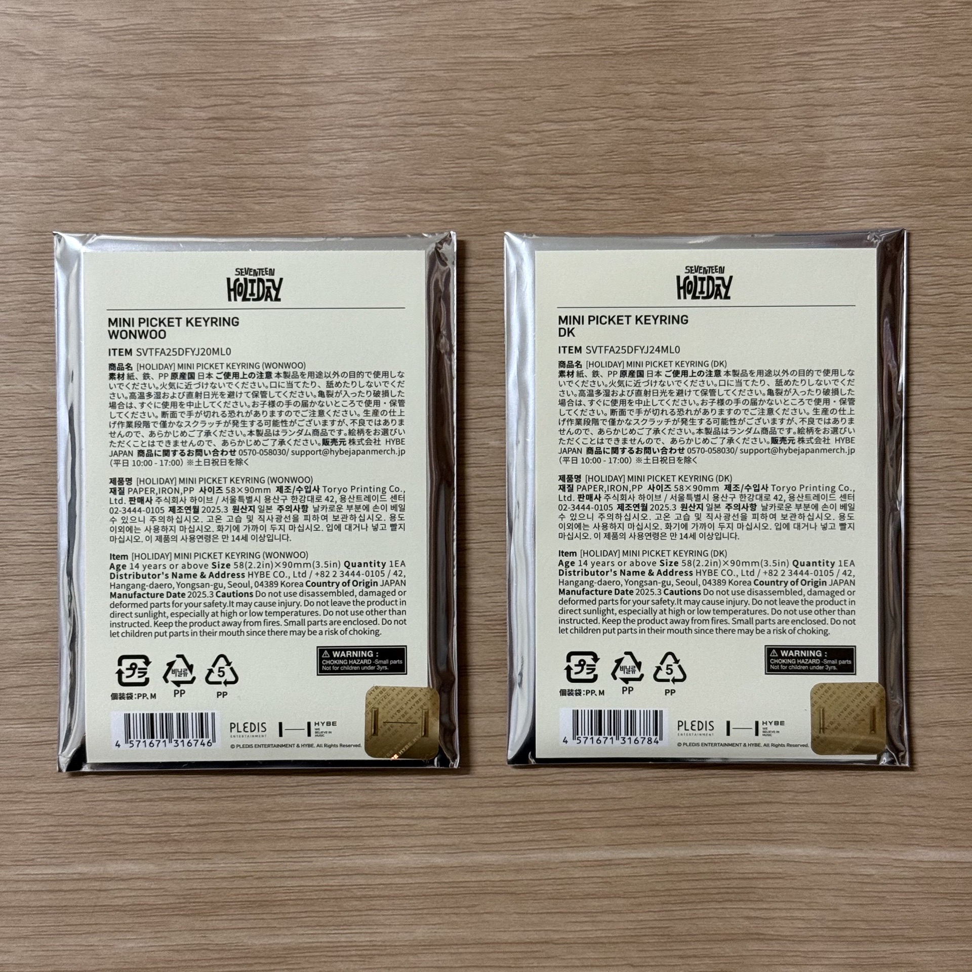 🇯🇵 Holiday 小扇