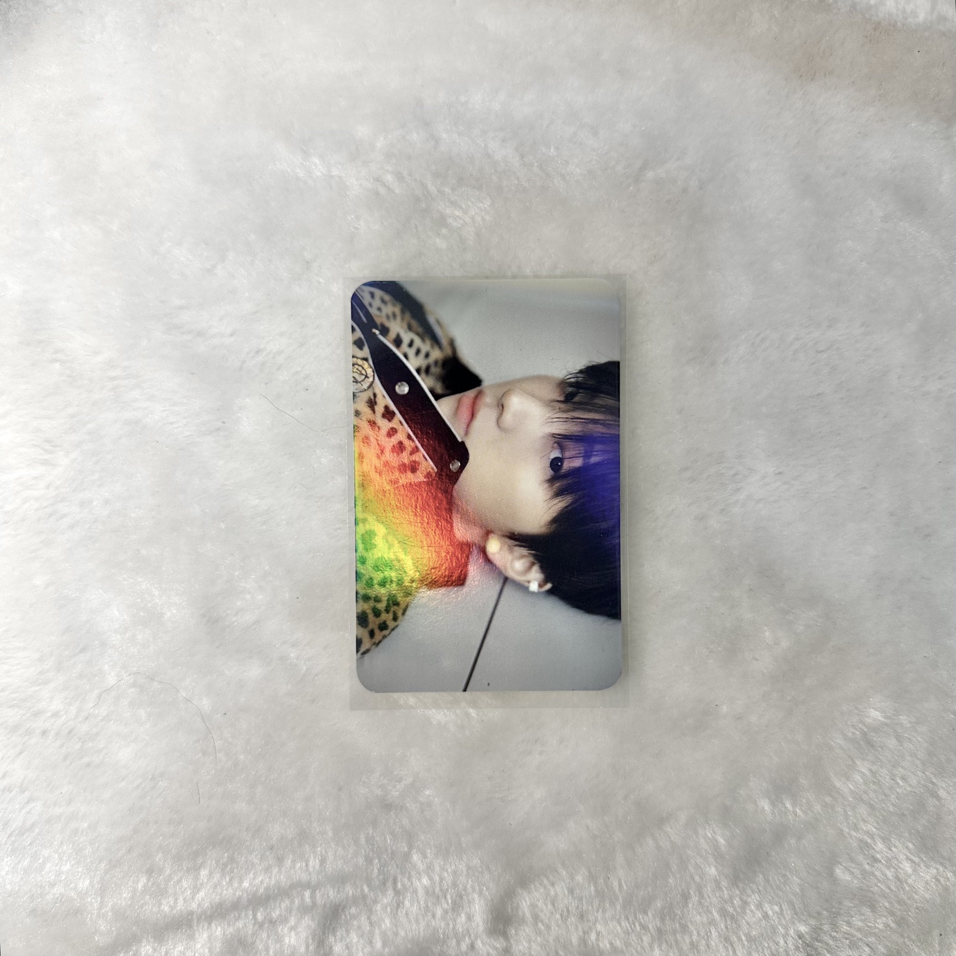 Who 阿拉丁 雲鶴