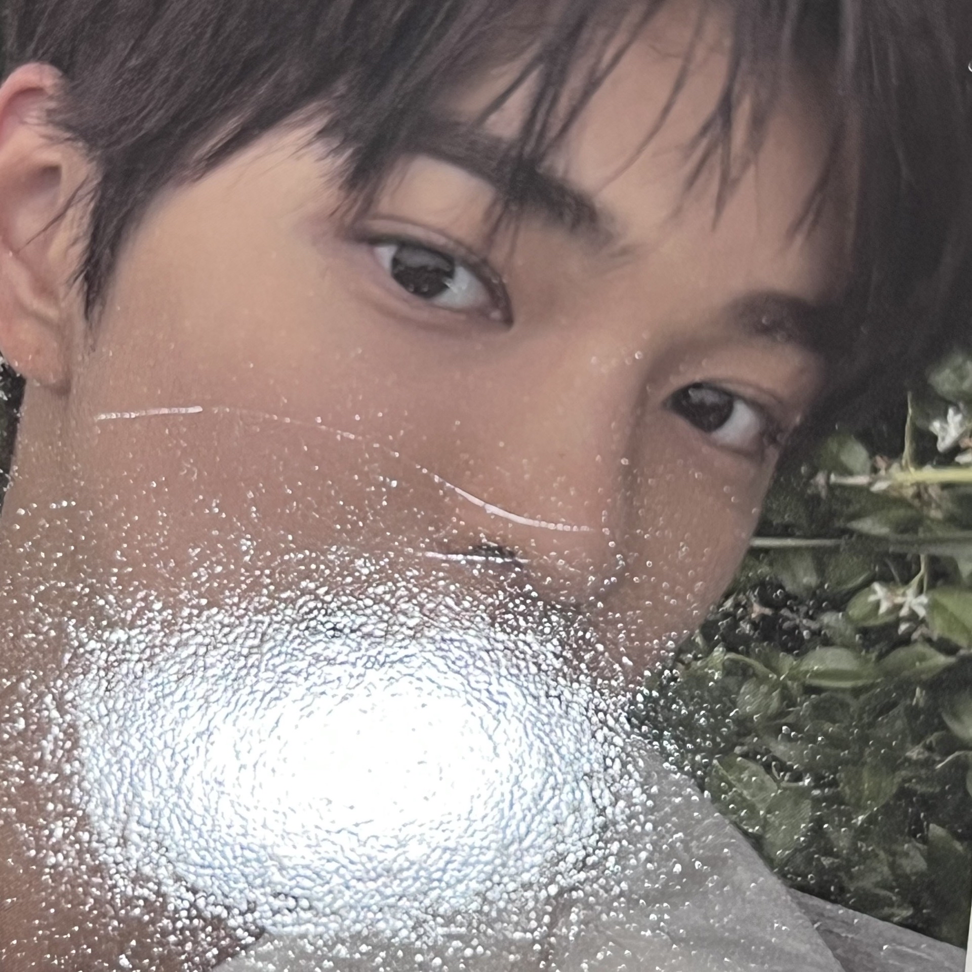 【現貨】Cortis 安乾鎬 美專 專卡