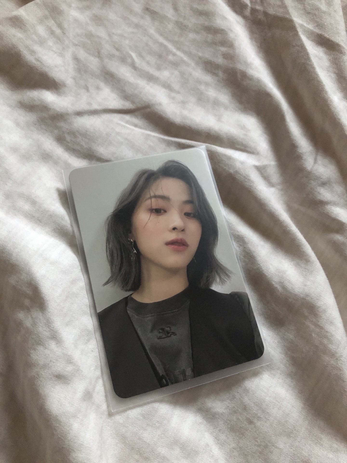 CHESHIRE 專輯卡 普版