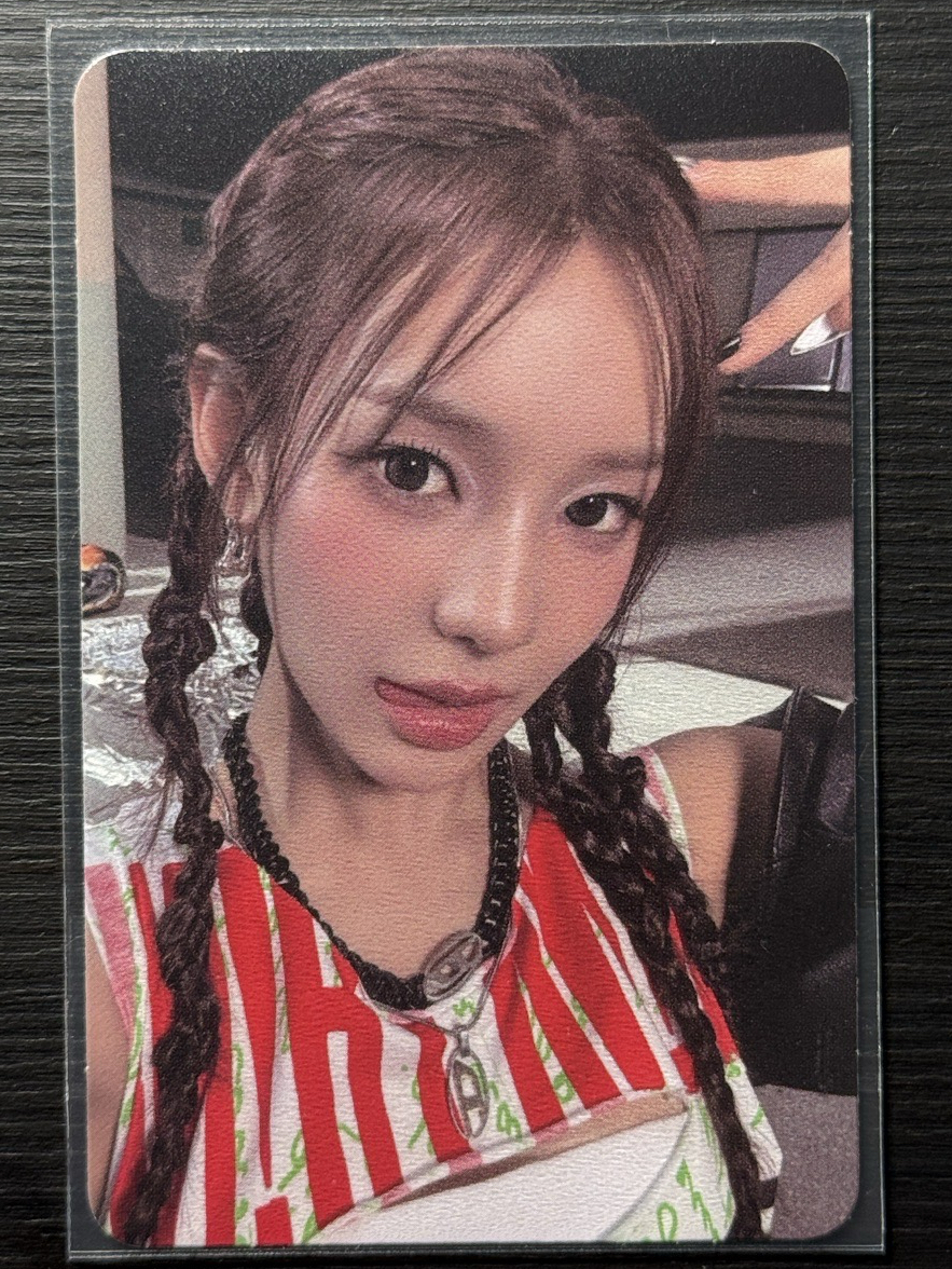 迷二 單封 專輯卡 貓耳愛