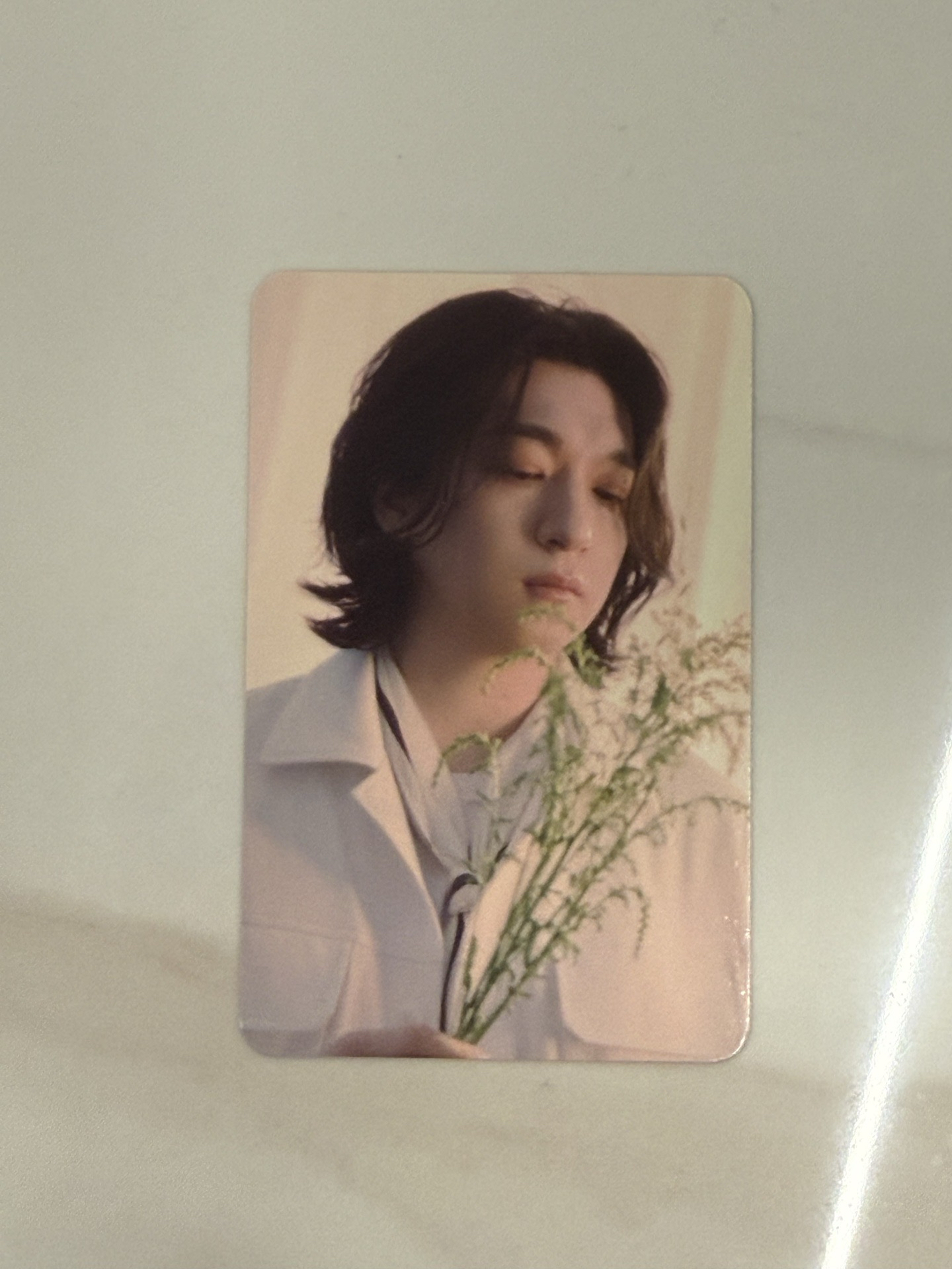 DAY6 Pier 10 飯咪隨機卡