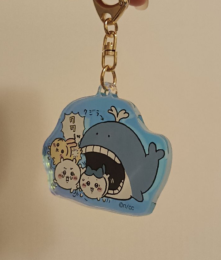 吉伊卡哇 水族館