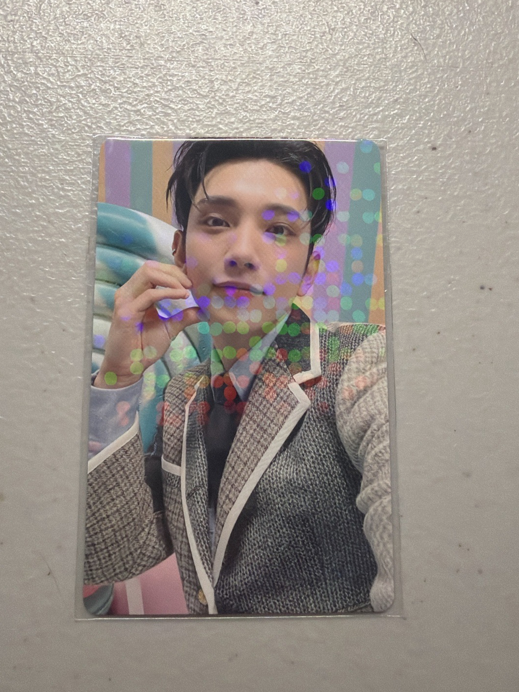 💚精選專 wvs jp 特典 秀