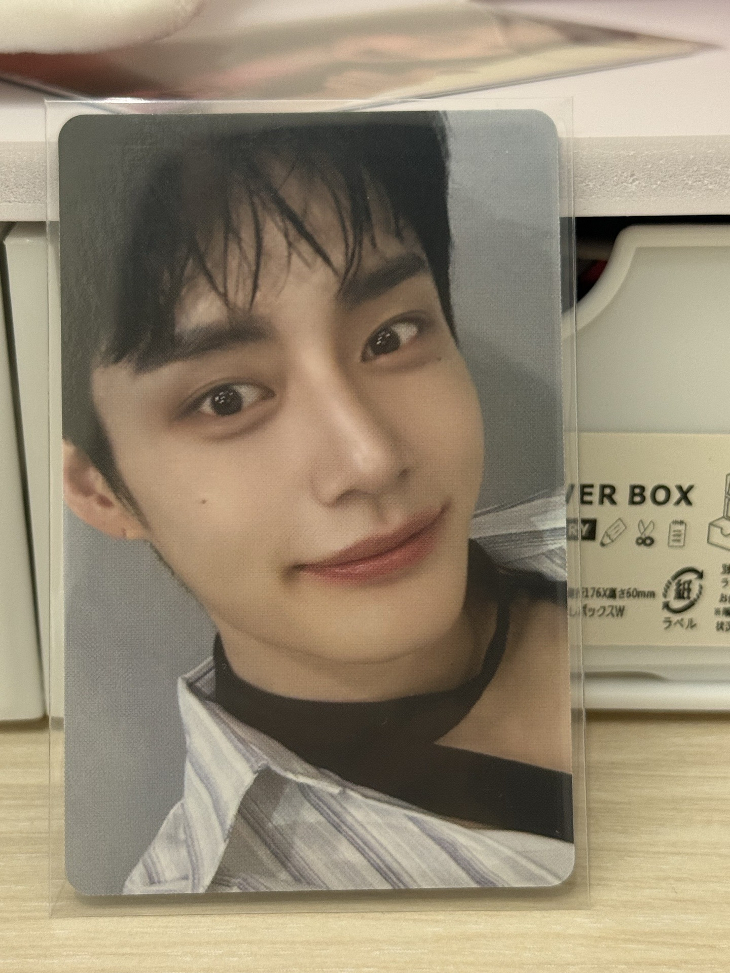 金地雄 迷三專輯卡