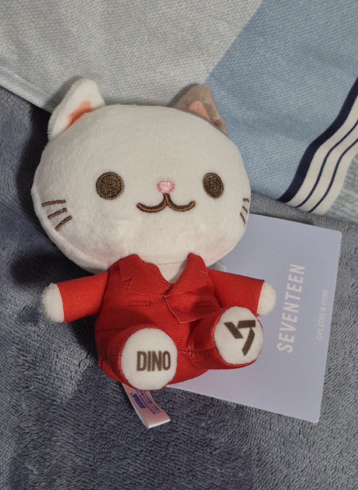 DINO | SEGA貓咪娃