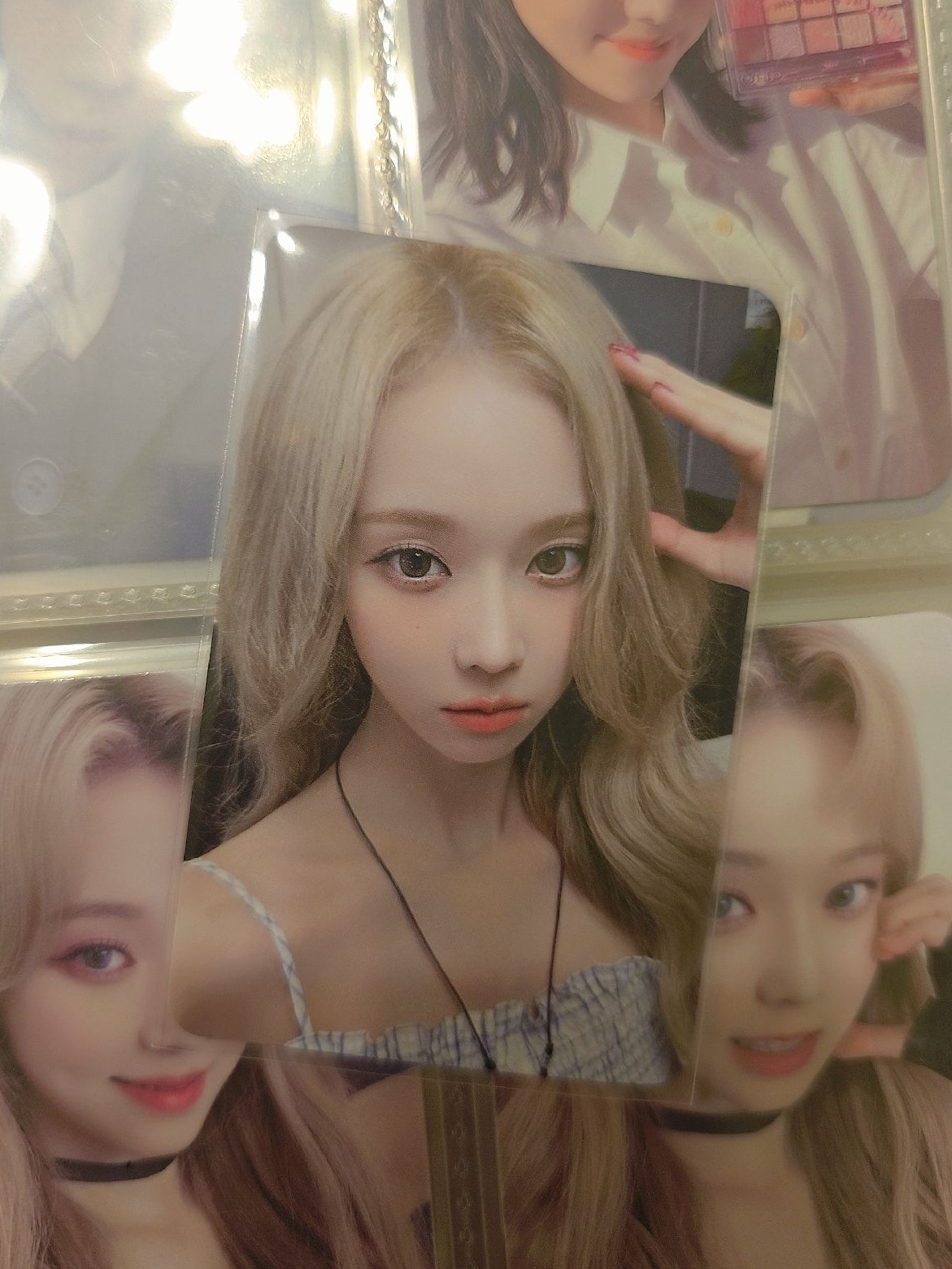 whiplash el狗耳冬暖色調