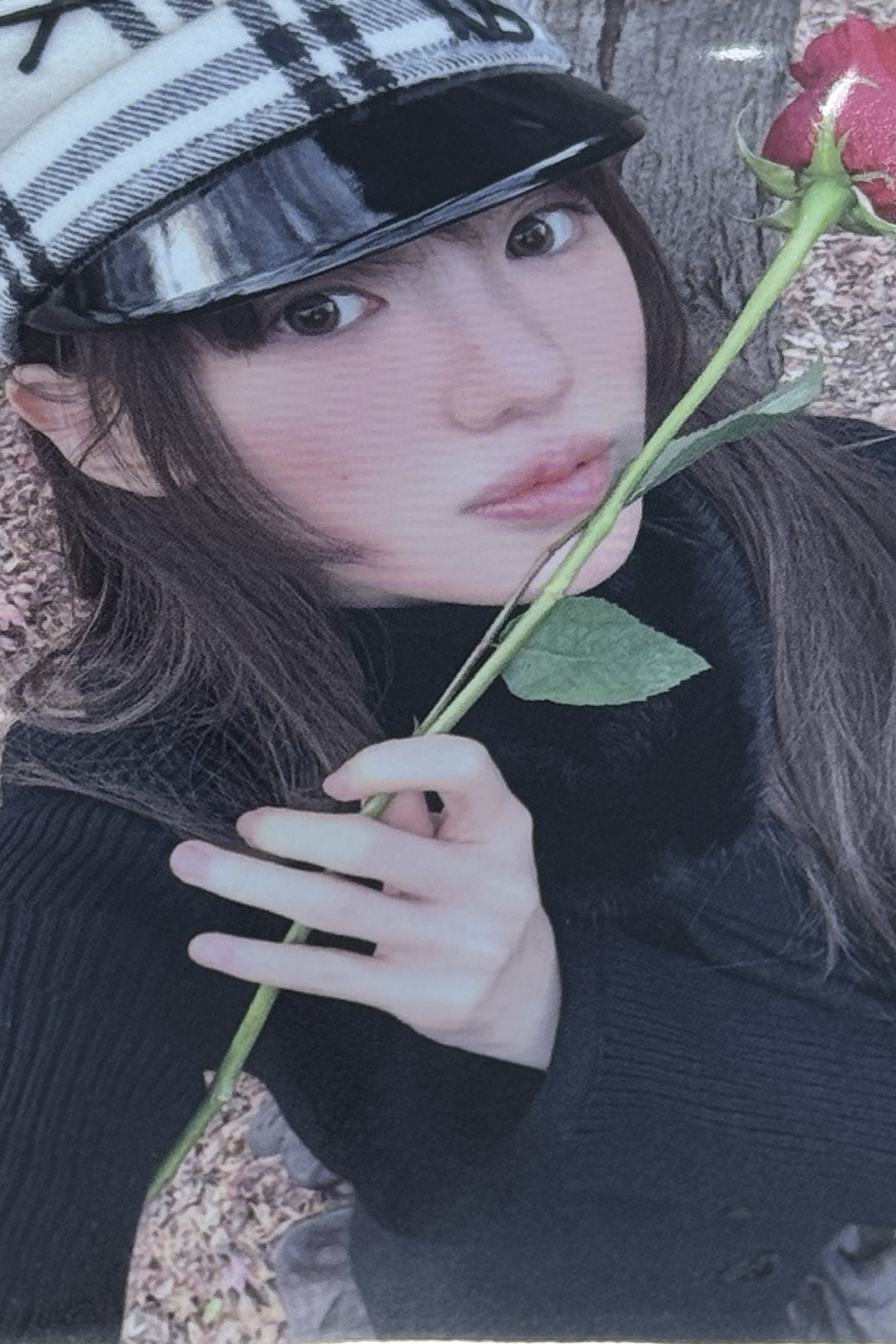 DP打歌卡3.0수이