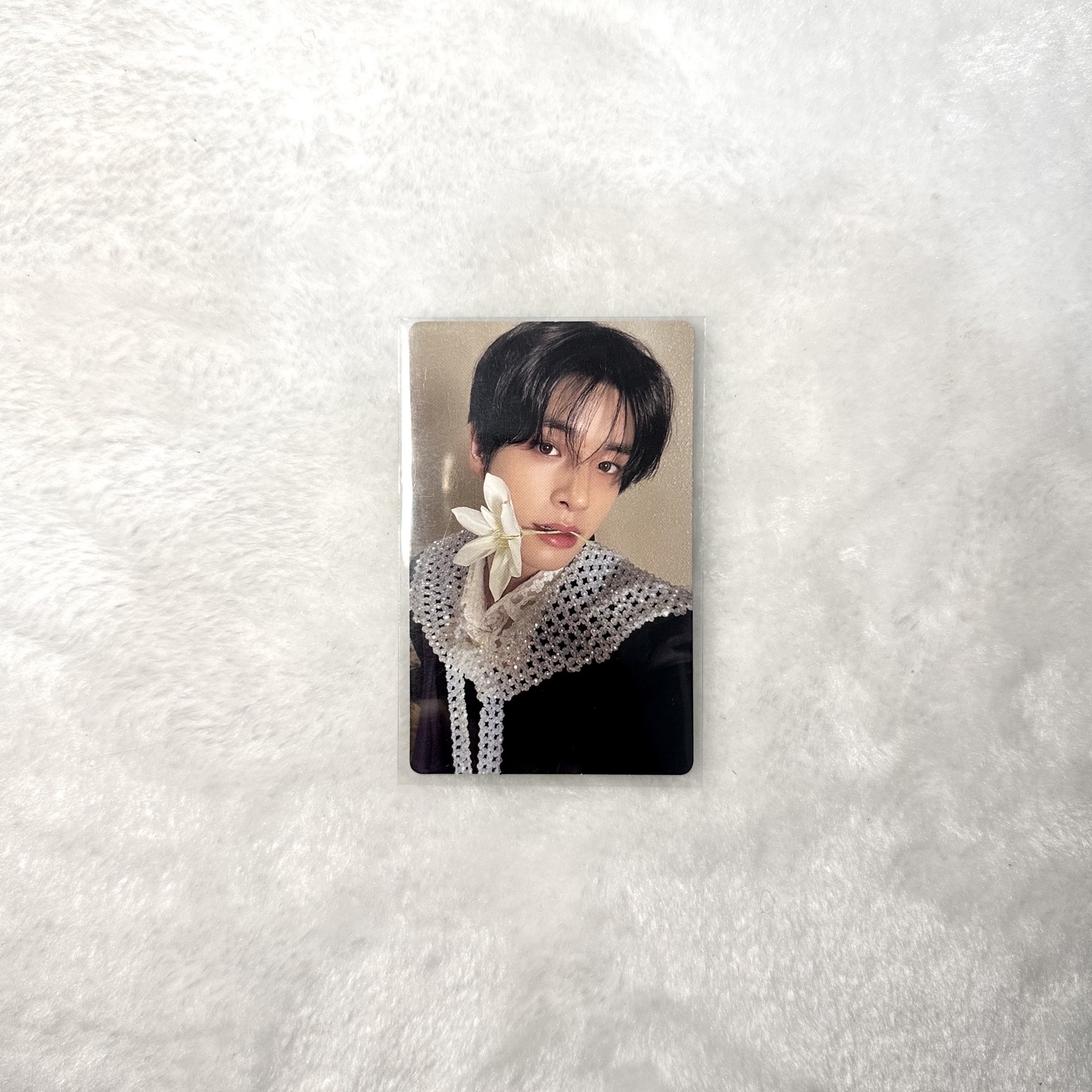 迷五專卡 銀版 載倫