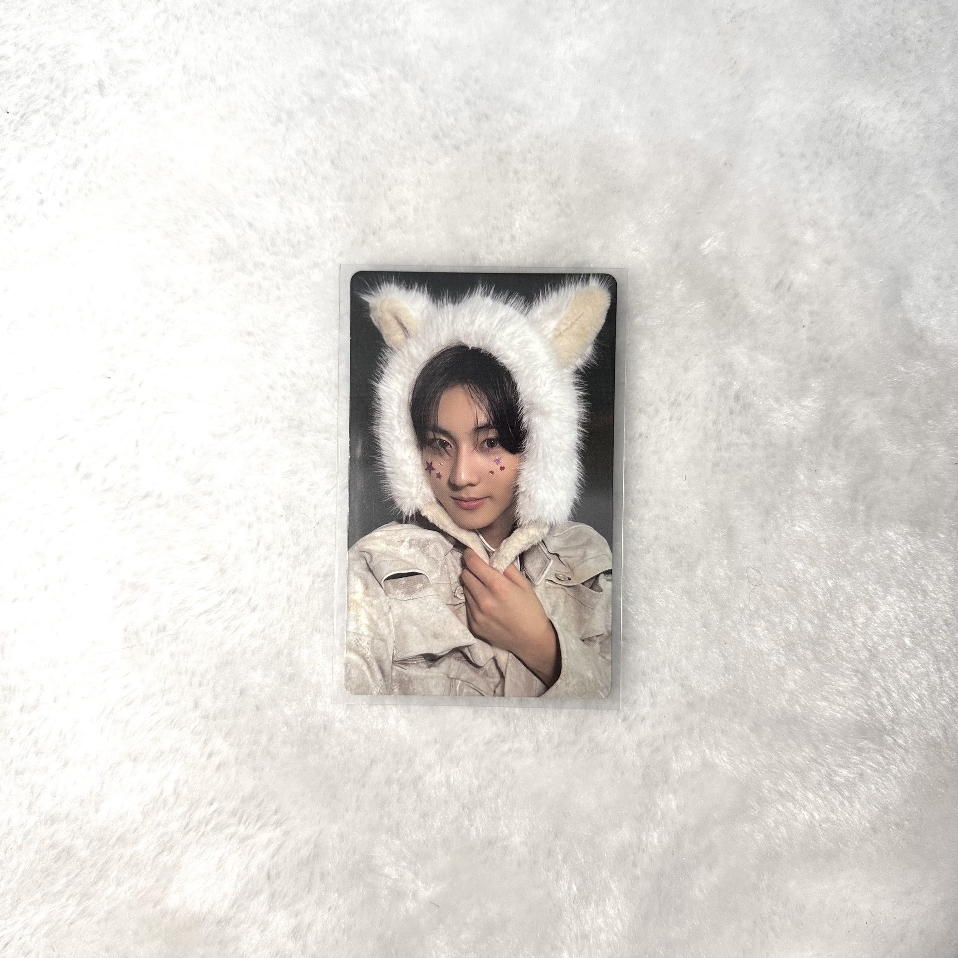 正二後續wvs特典 禎元