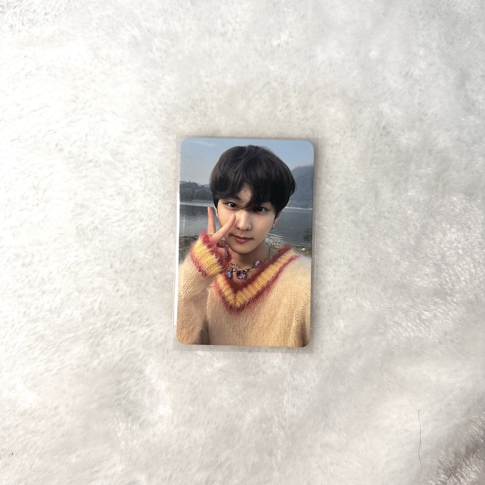 迷五kkt特典 禎元