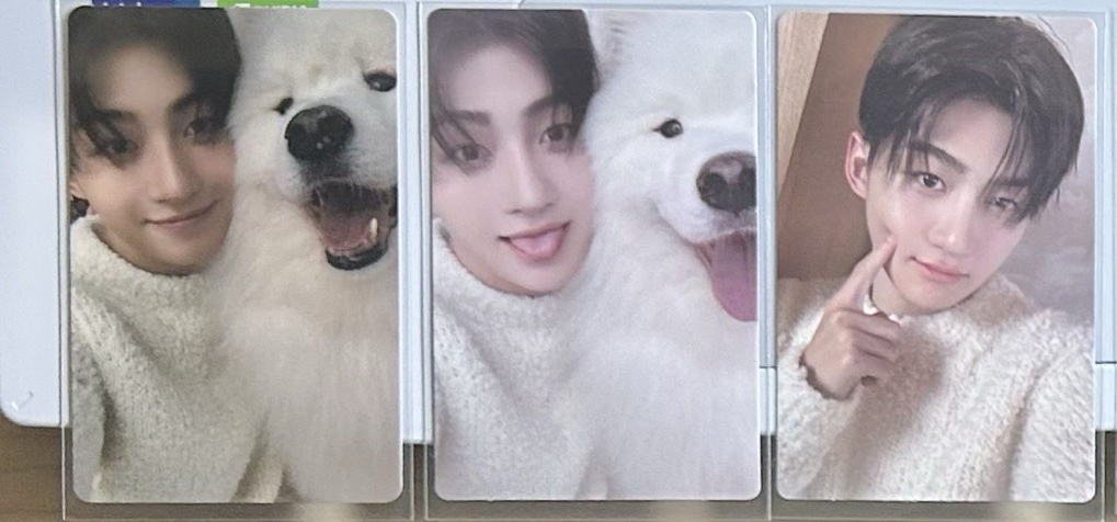 志薫 lastbell 薩摩耶特典+專卡🐶