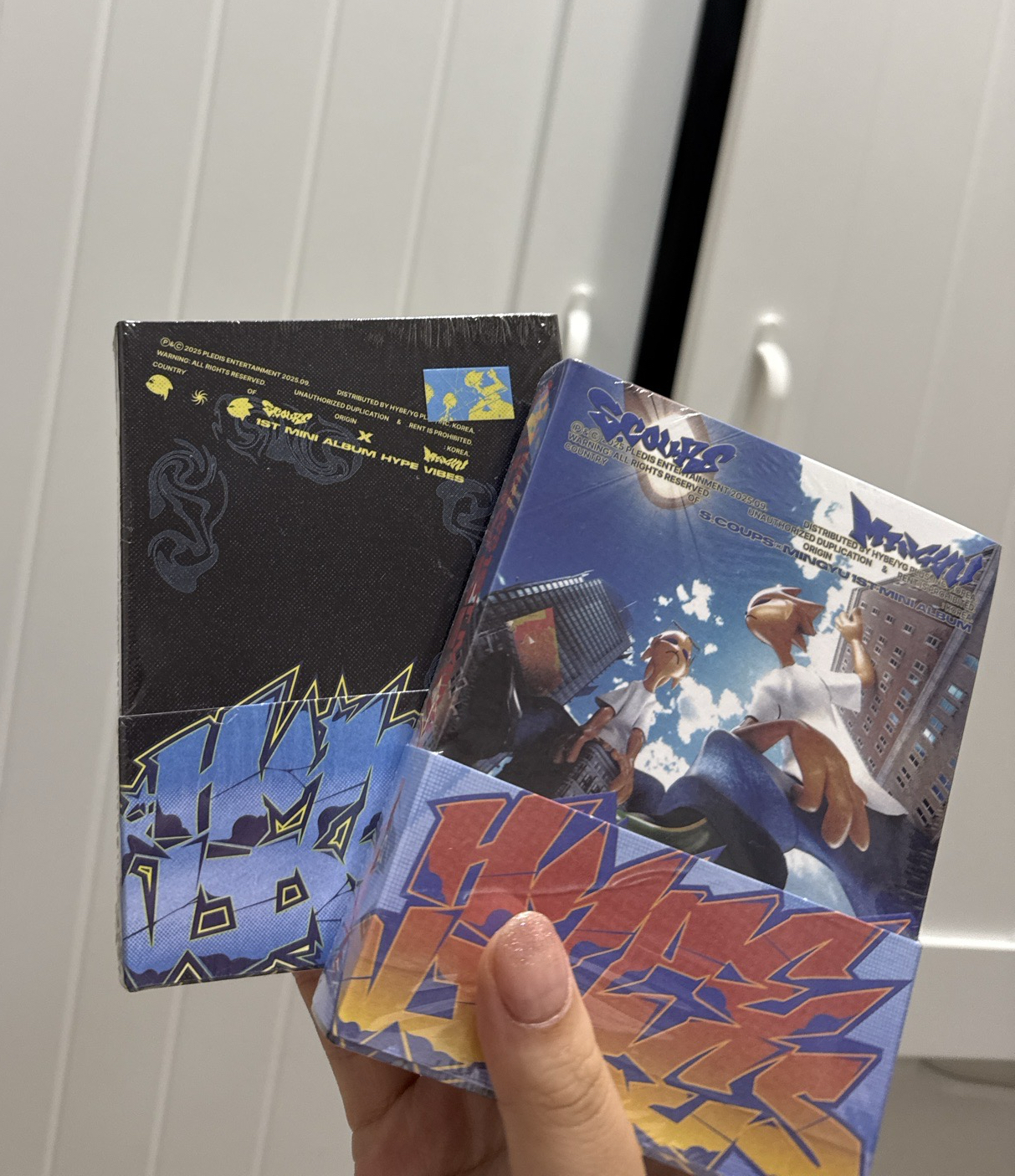 CxM Hybe Vibes buddy&combi版本