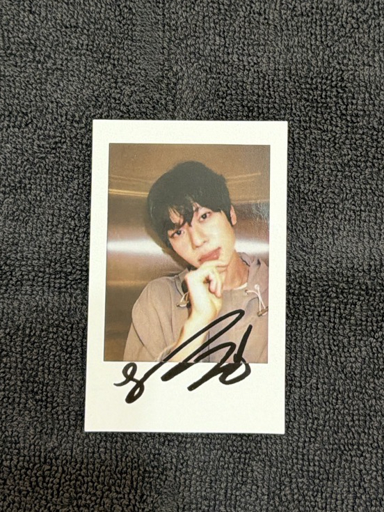 SION Songbird KMS6.0