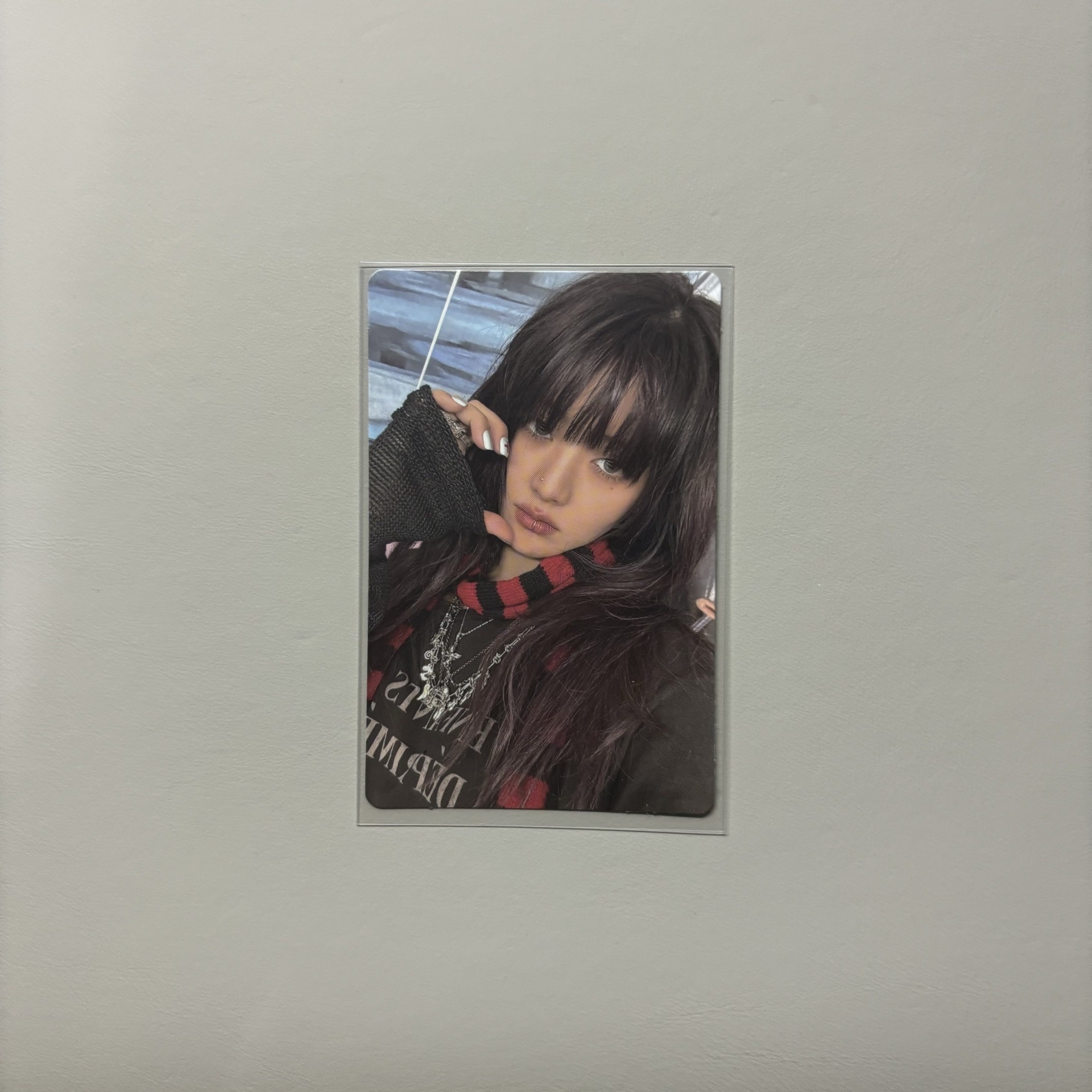 迷八電子專卡妮