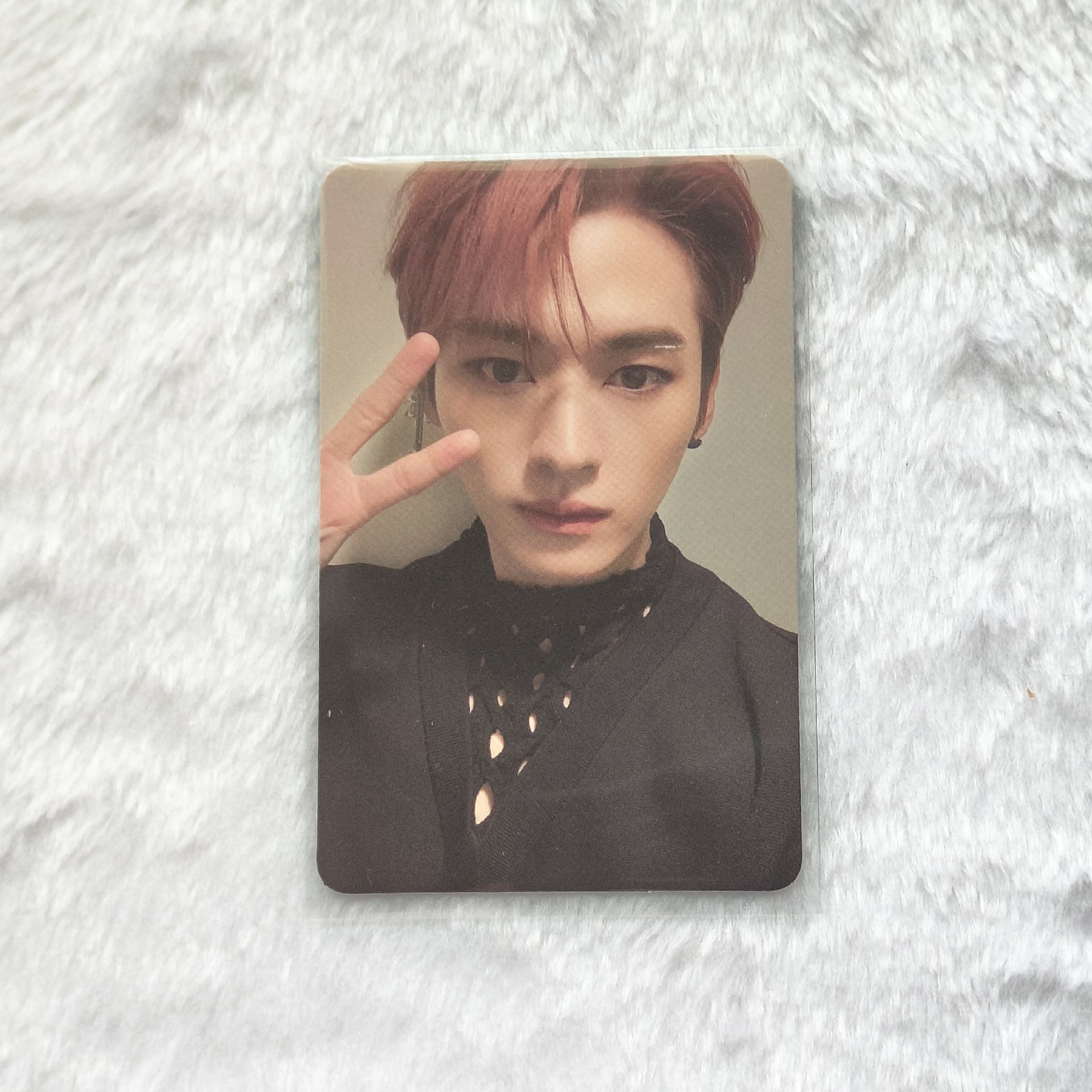 | oddinary預售旻 | 現貨