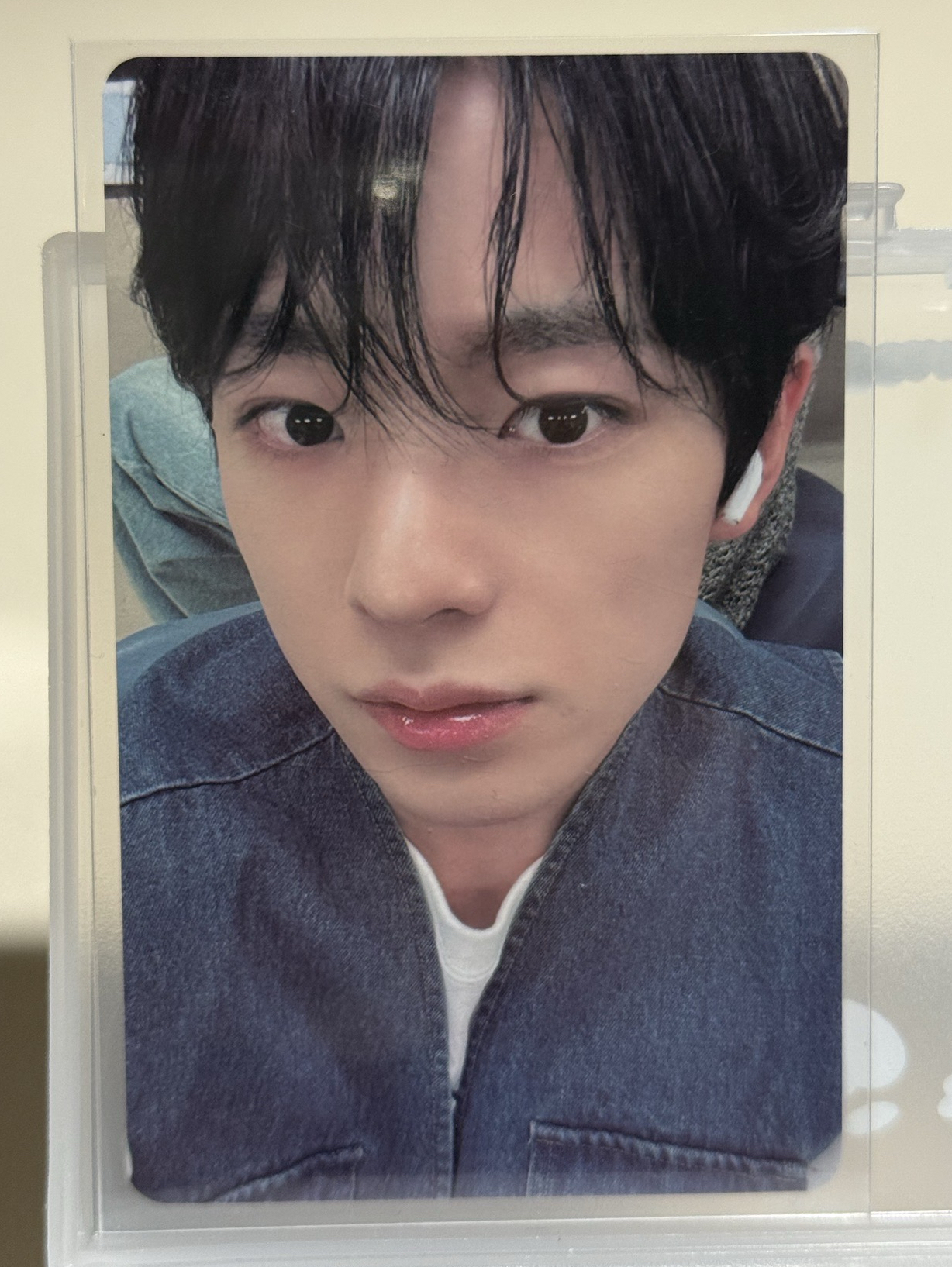 Yushi steady  Kms 中背