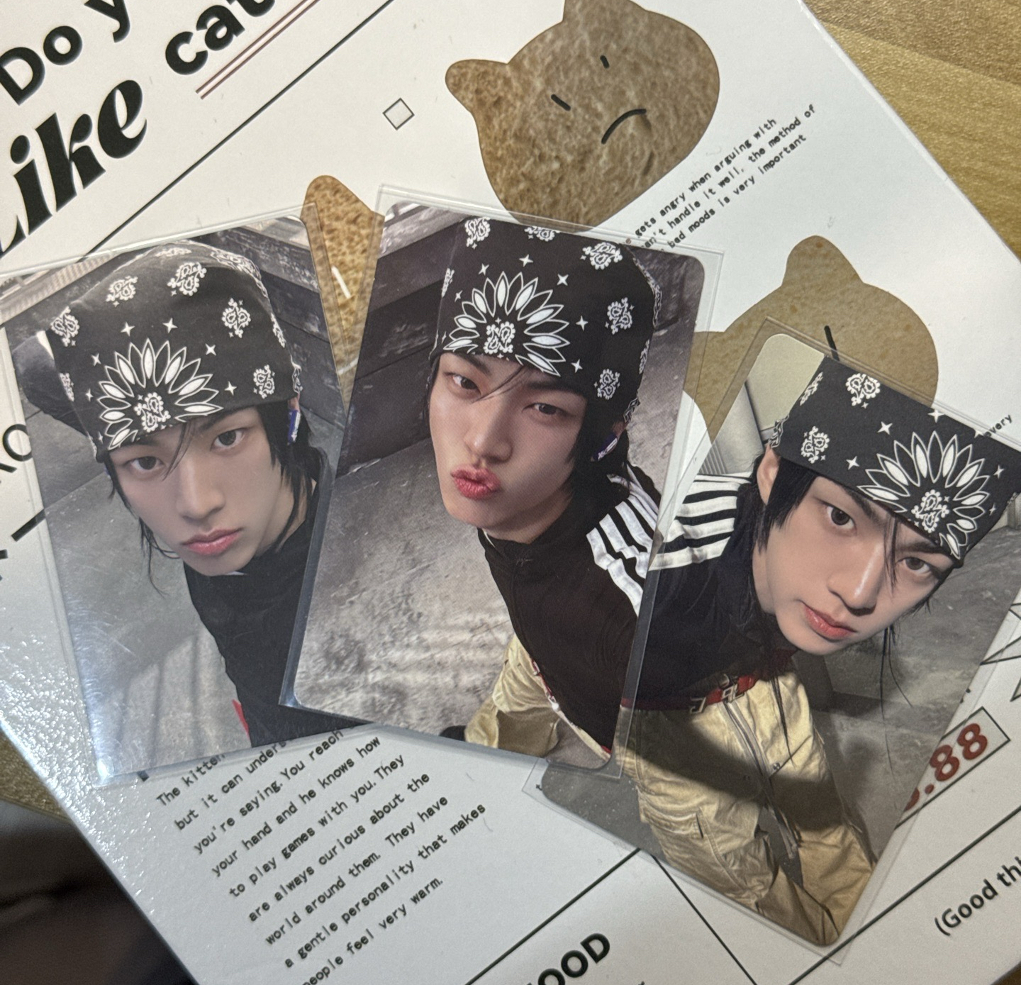 道勳 Play Hard wvs簽售卡/特典卡/環球PB