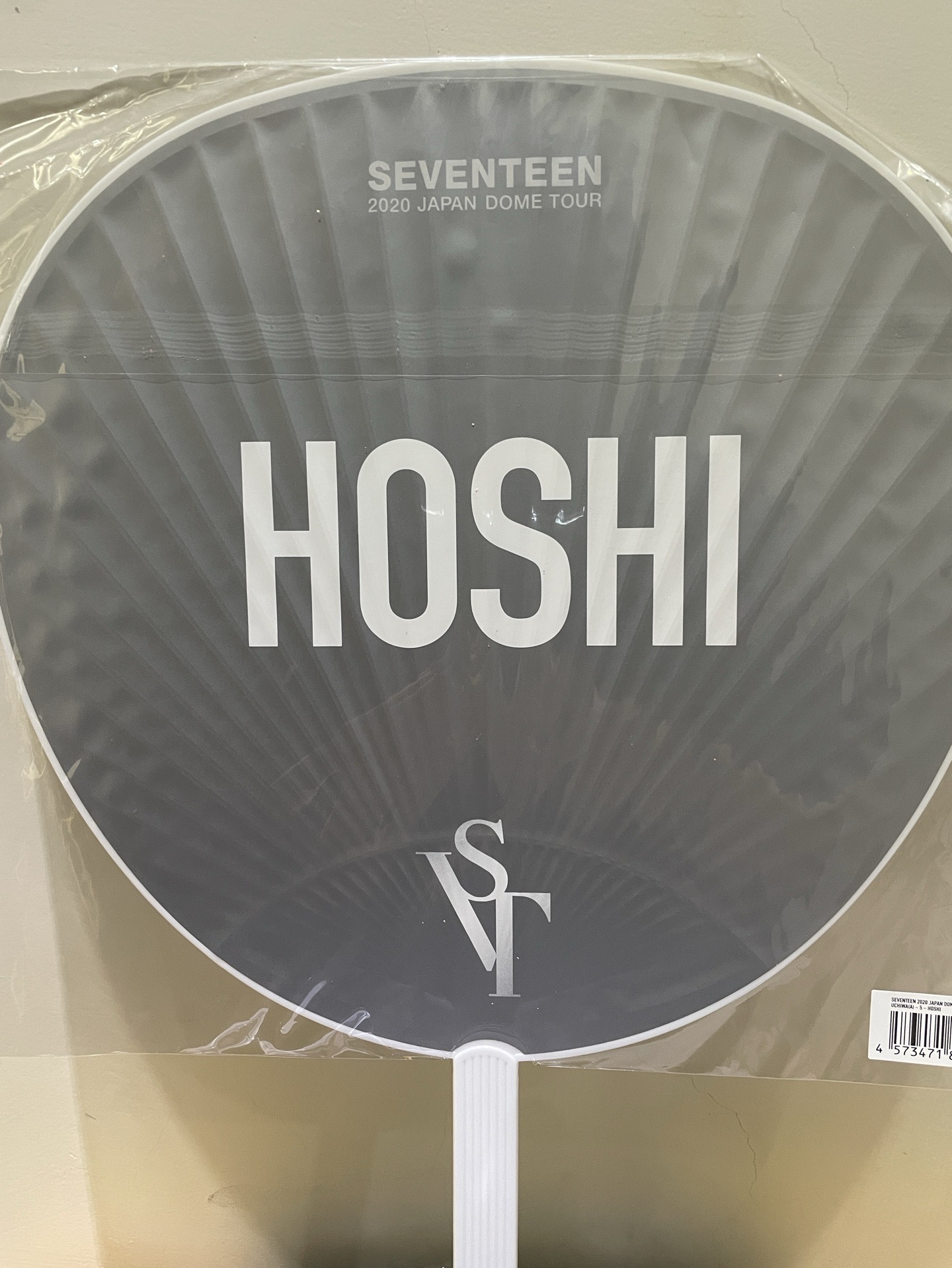 [SVT] Hoshi 2020日本蛋巡大扇
