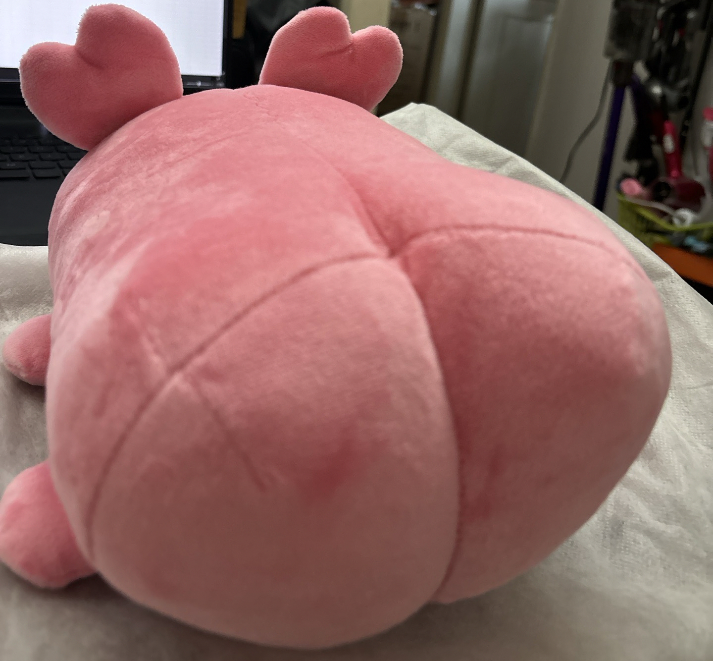 TWICE LOVELYS 6週年大趴趴-MOMO🩷