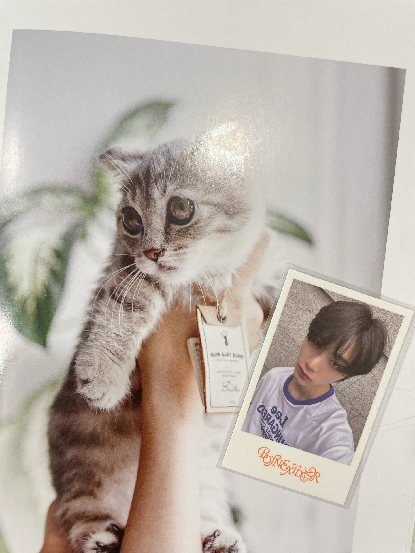 🍀【BND】馬德里回憶錄🐈‍⬛