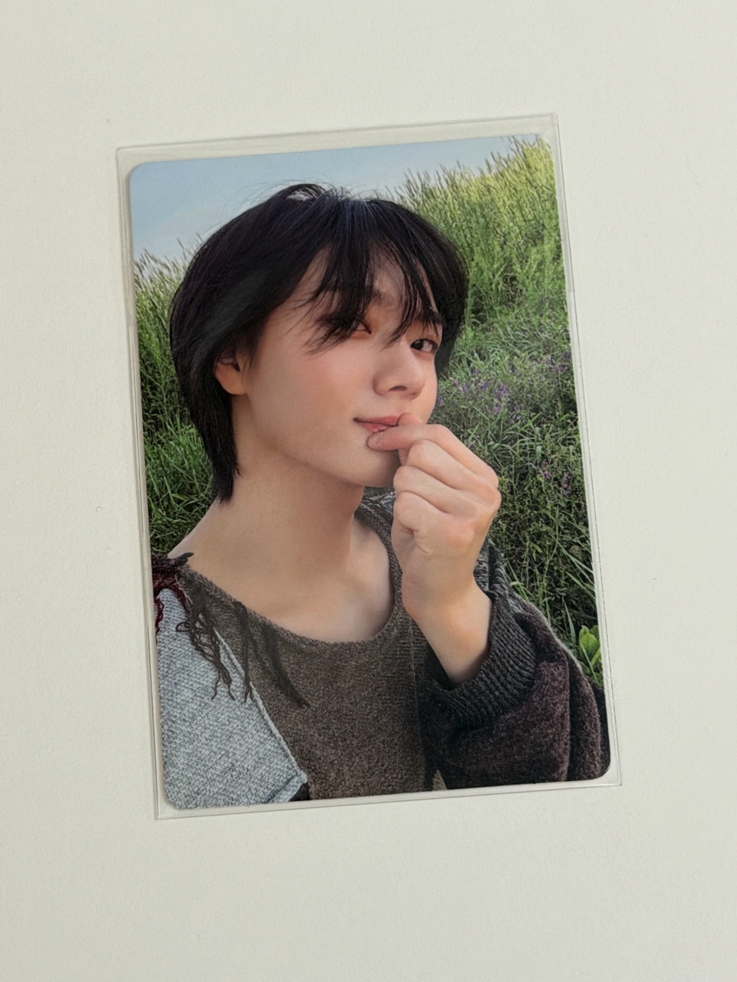 🐱ㅣWHY.. MOODY ver.