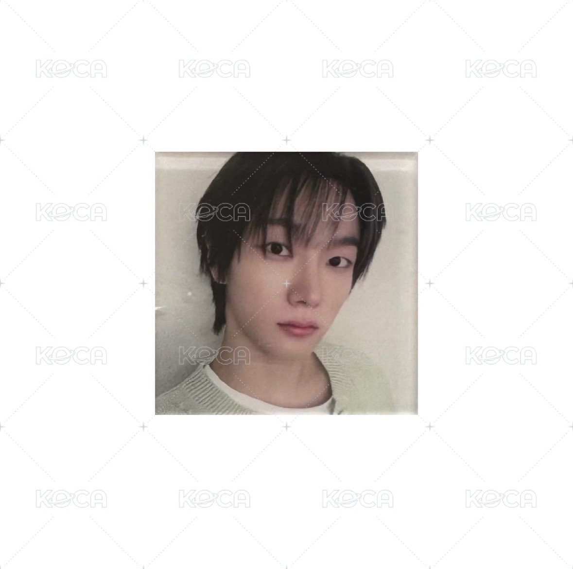 🌷wvs特典磁鐵🐱🦦🐶