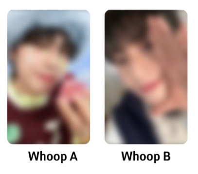 崔立于 Whoop Japan 一卡一專