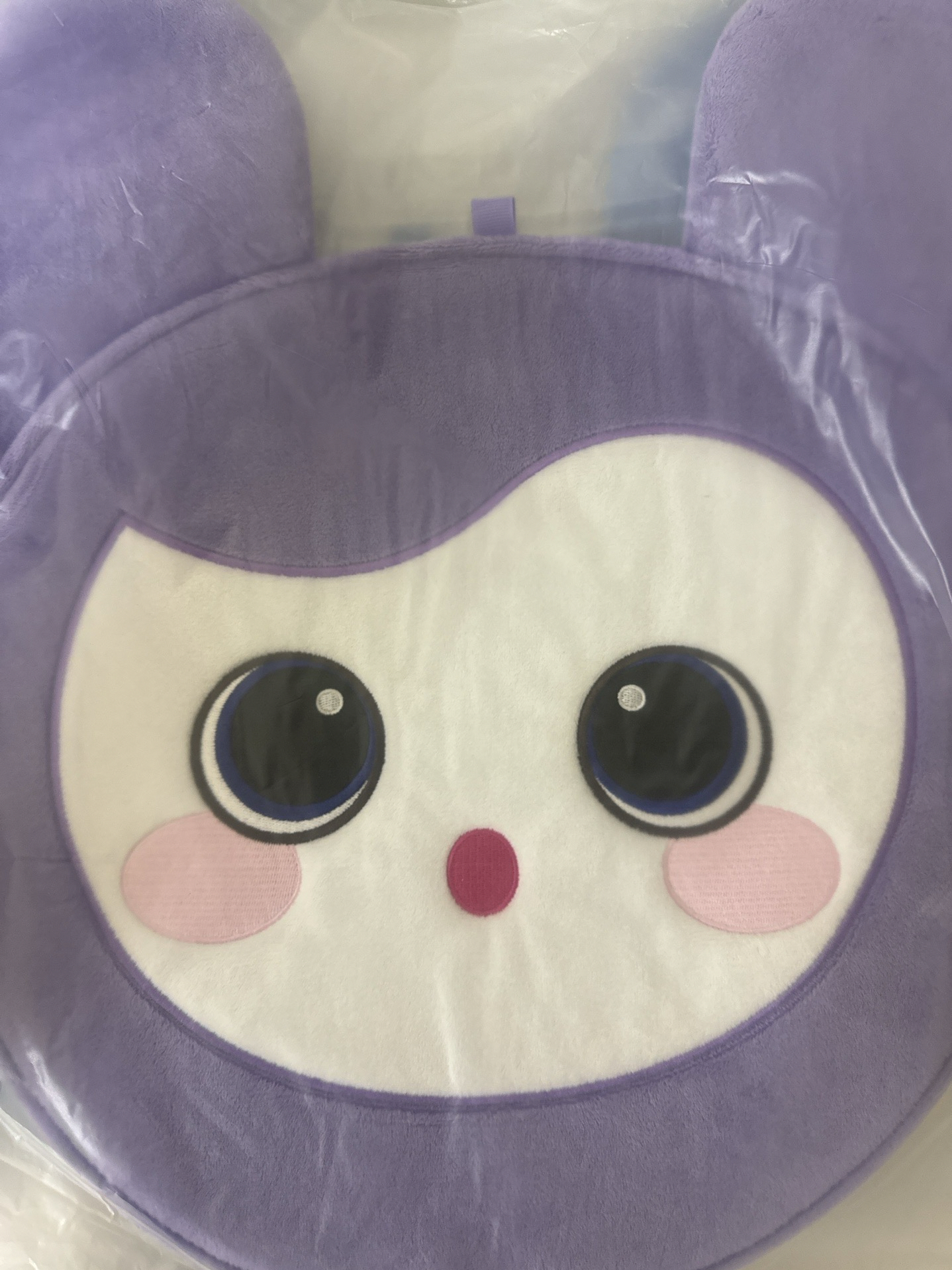 六巡 JYP JAPAN 扇套 日本場週大王扇套-Sana