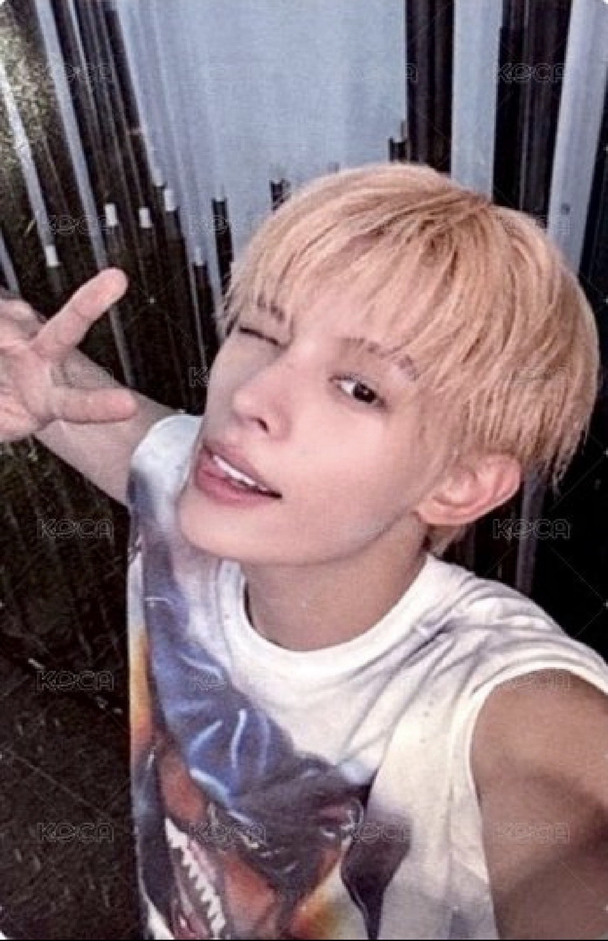 凡mk2.0（非現需等）