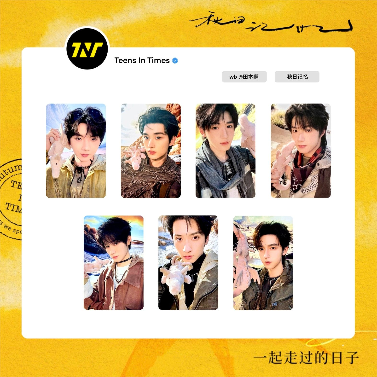 四季系列團固單人卡