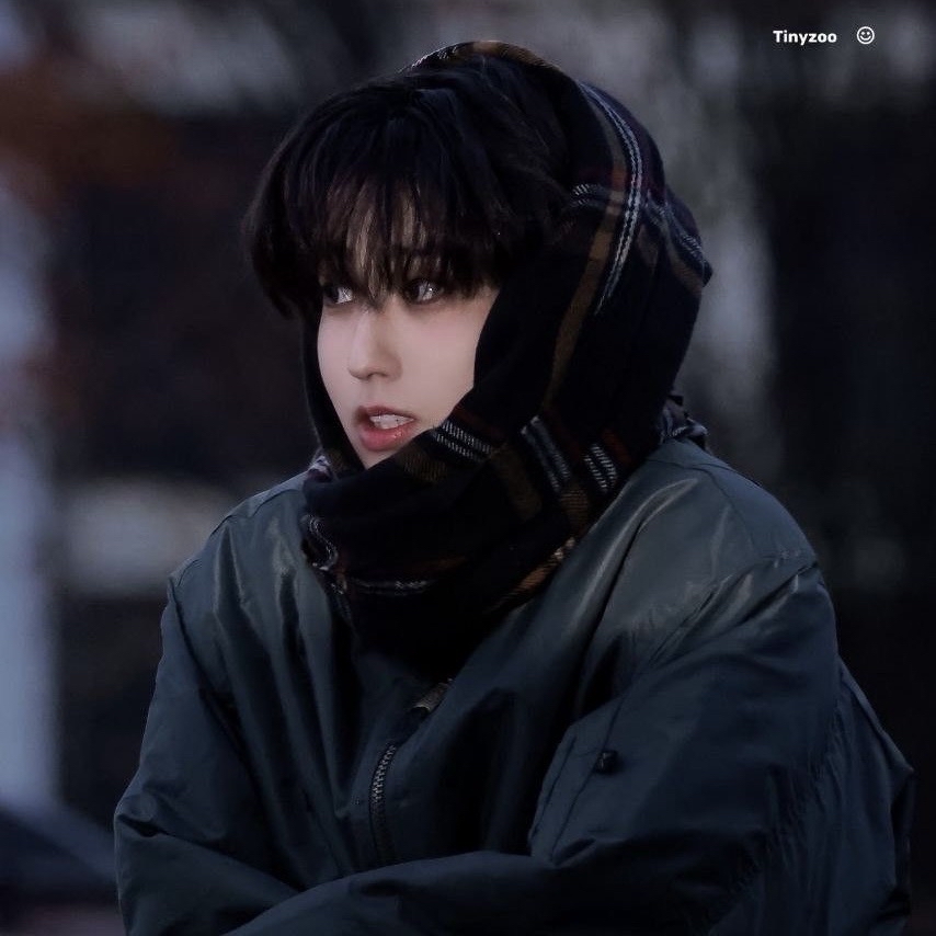 明信片 貼紙 海報