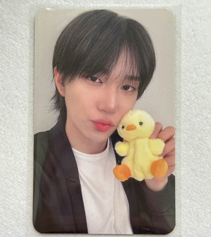 需綁看簡介 sad song 特典卡 