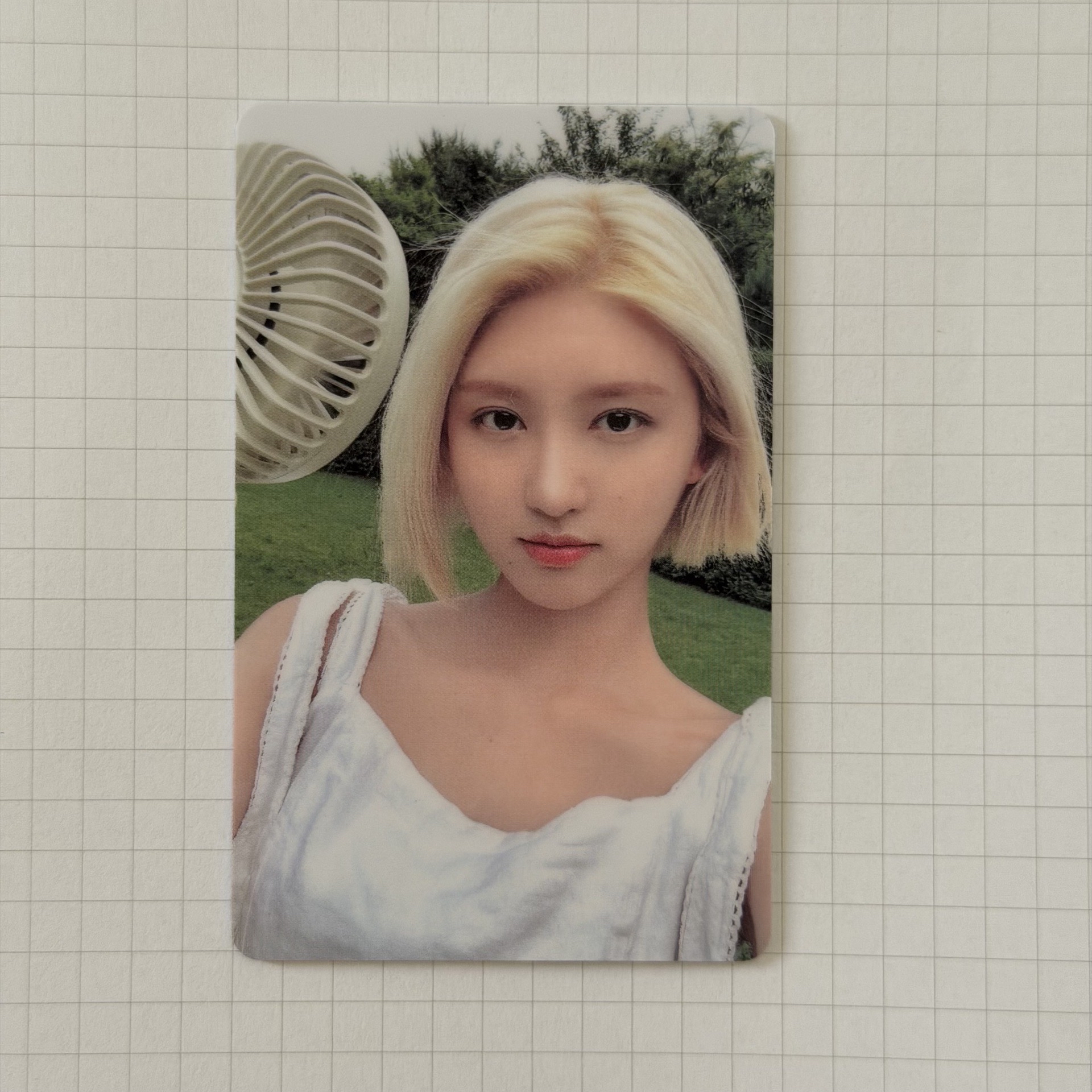 After LIKE sw 2.0 幸運卡 