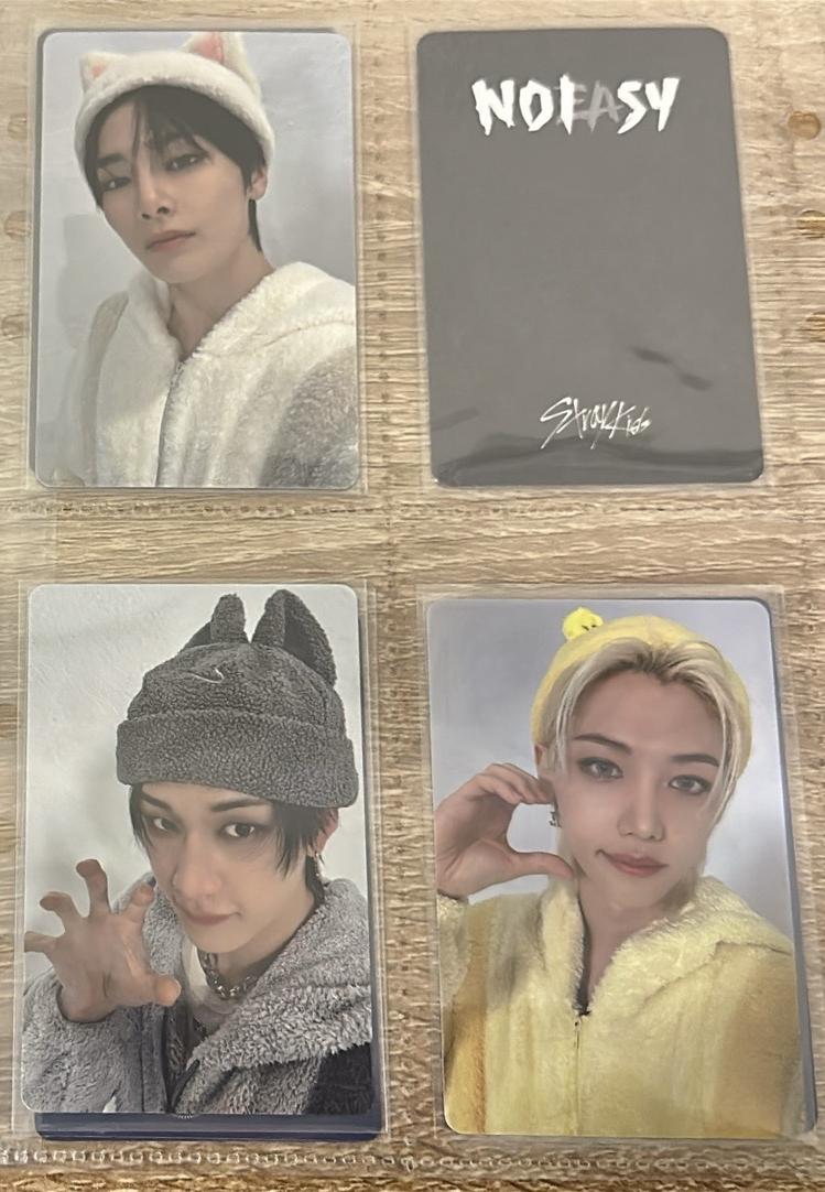 stray kids 塔店小動物