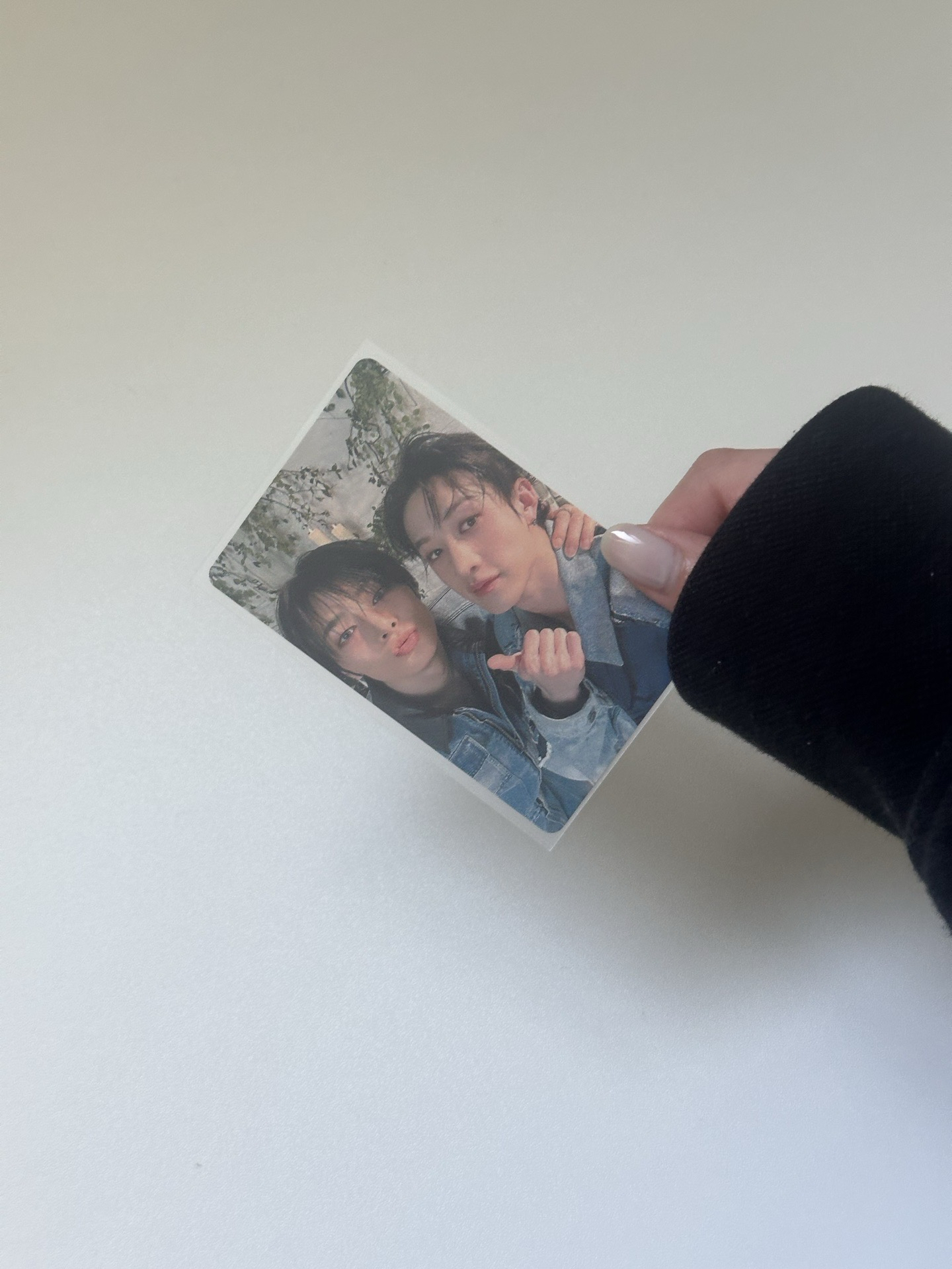 Hollow 燦寅雙人卡