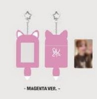 QWER 一巡 台北場限定 卡套 W