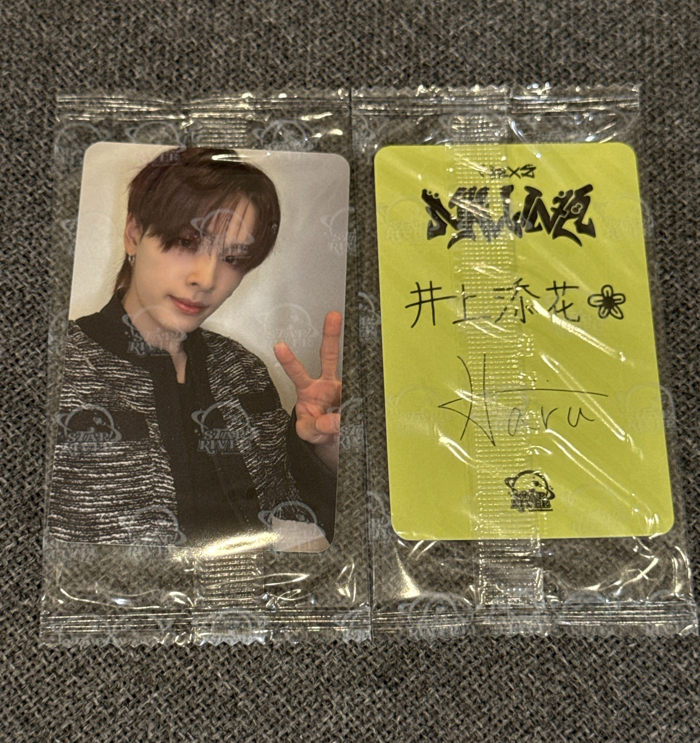 nallina 星河1.0 Haru