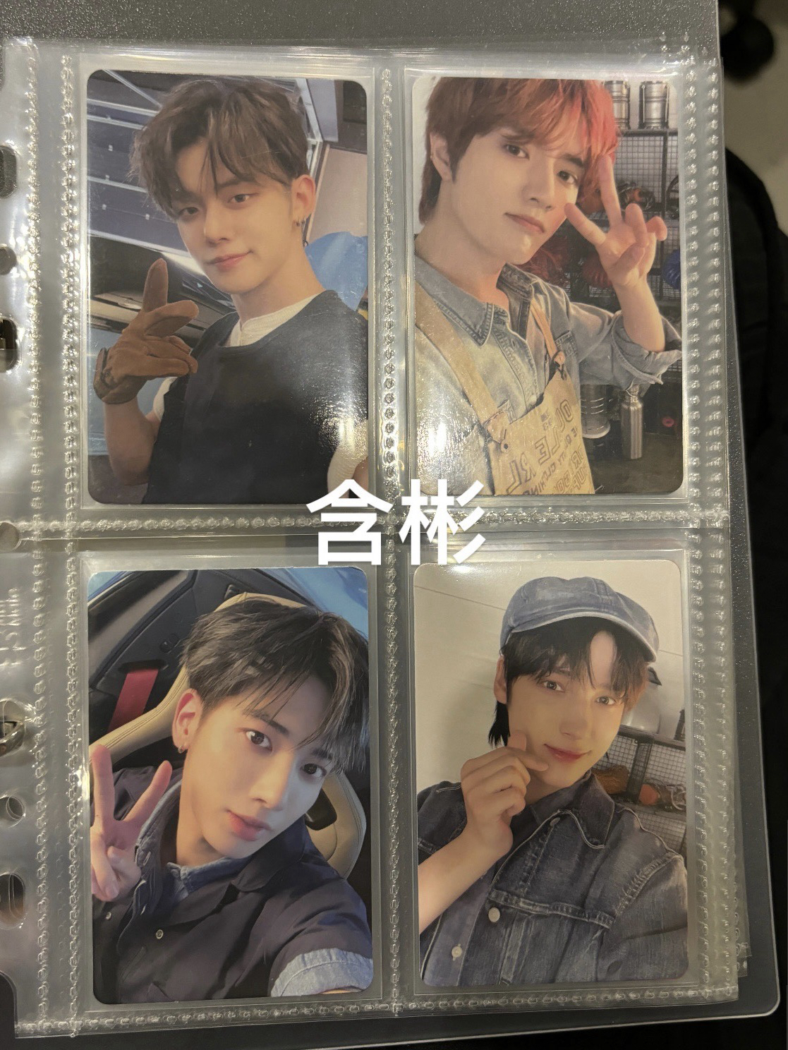 TXT四期會員禮小卡（全員）