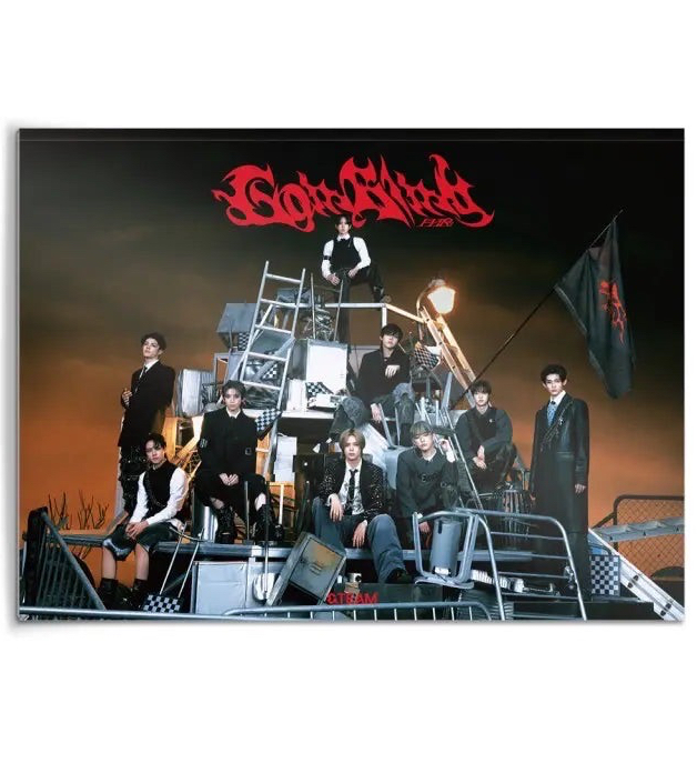 &TEAM go in blind 月狼 初回限定未拆專