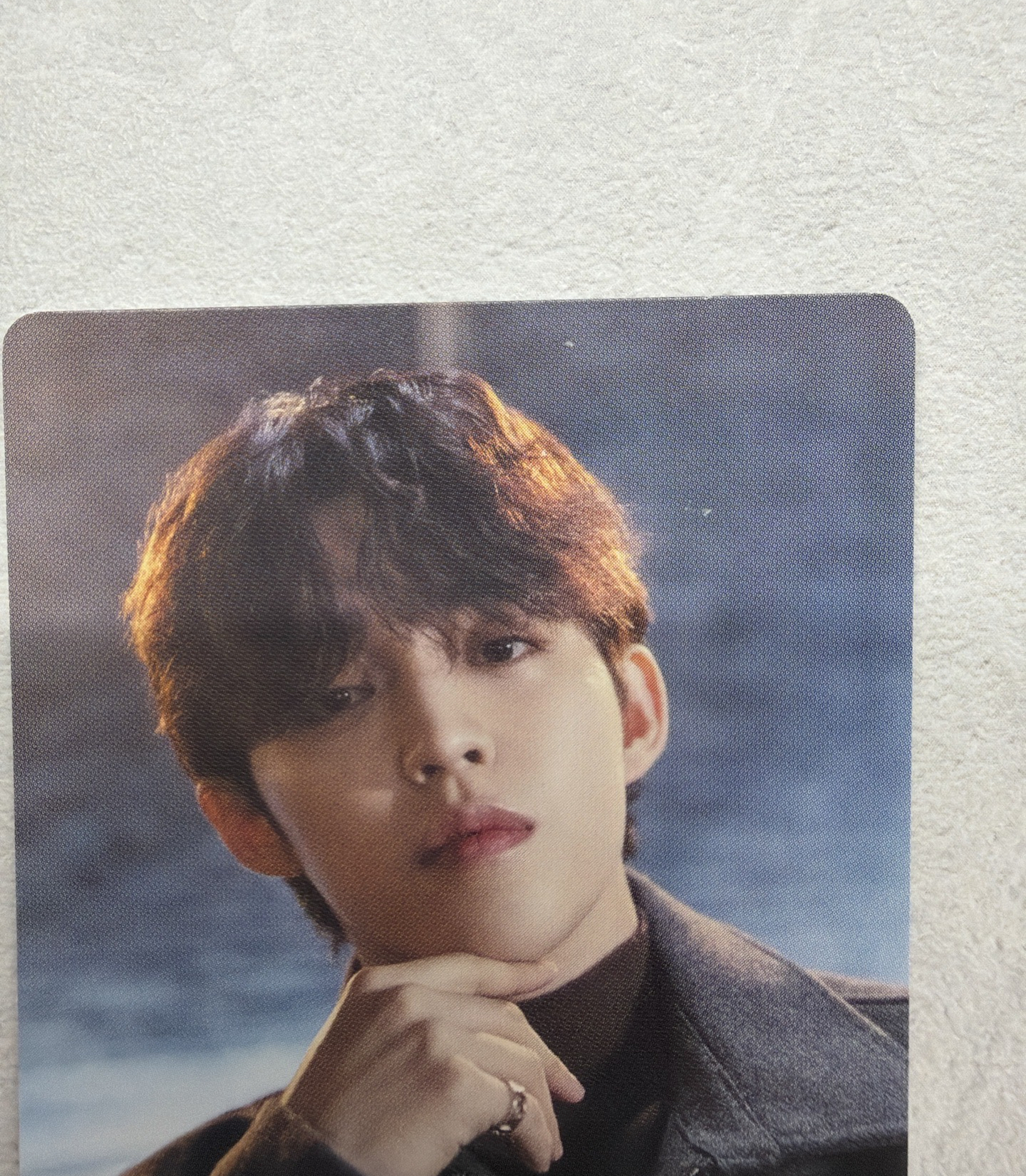 SVT POL日本電影卡 哲（喆）