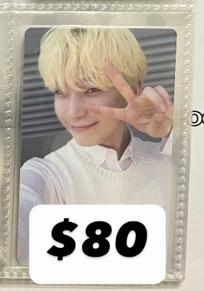 善禹正二電子專卡