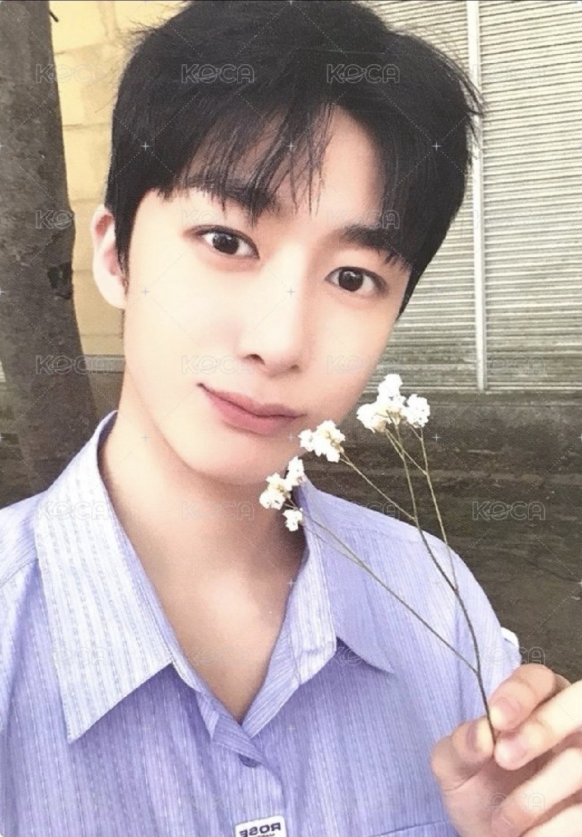 🐢THE X 專卡 XX Ver.