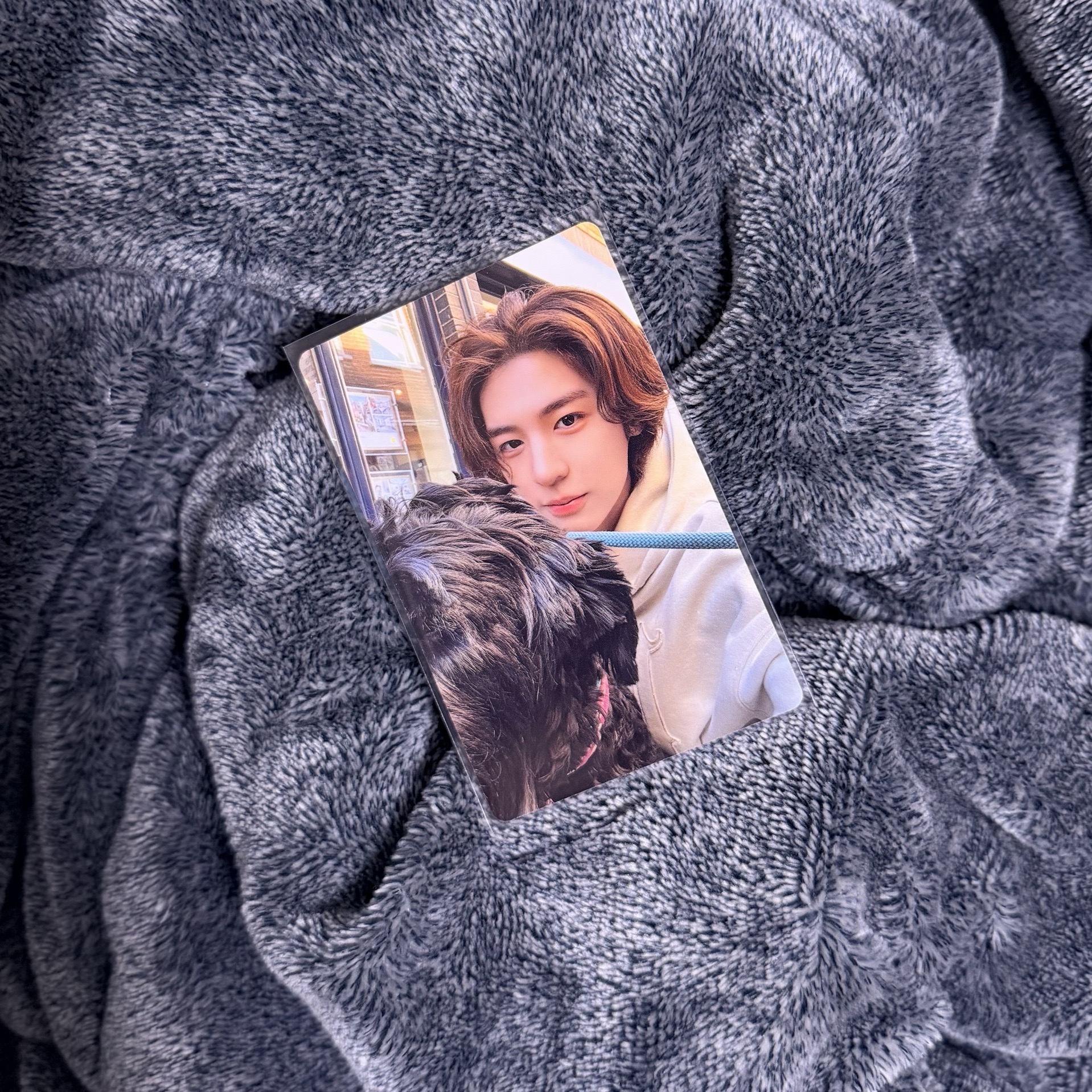 HOW? 狗狗李涵 專卡