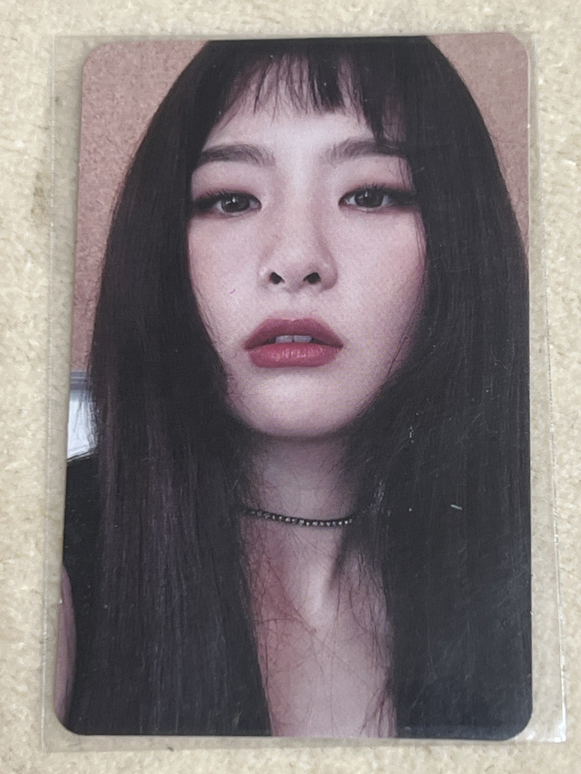 博物館版本/帥氣熊熊