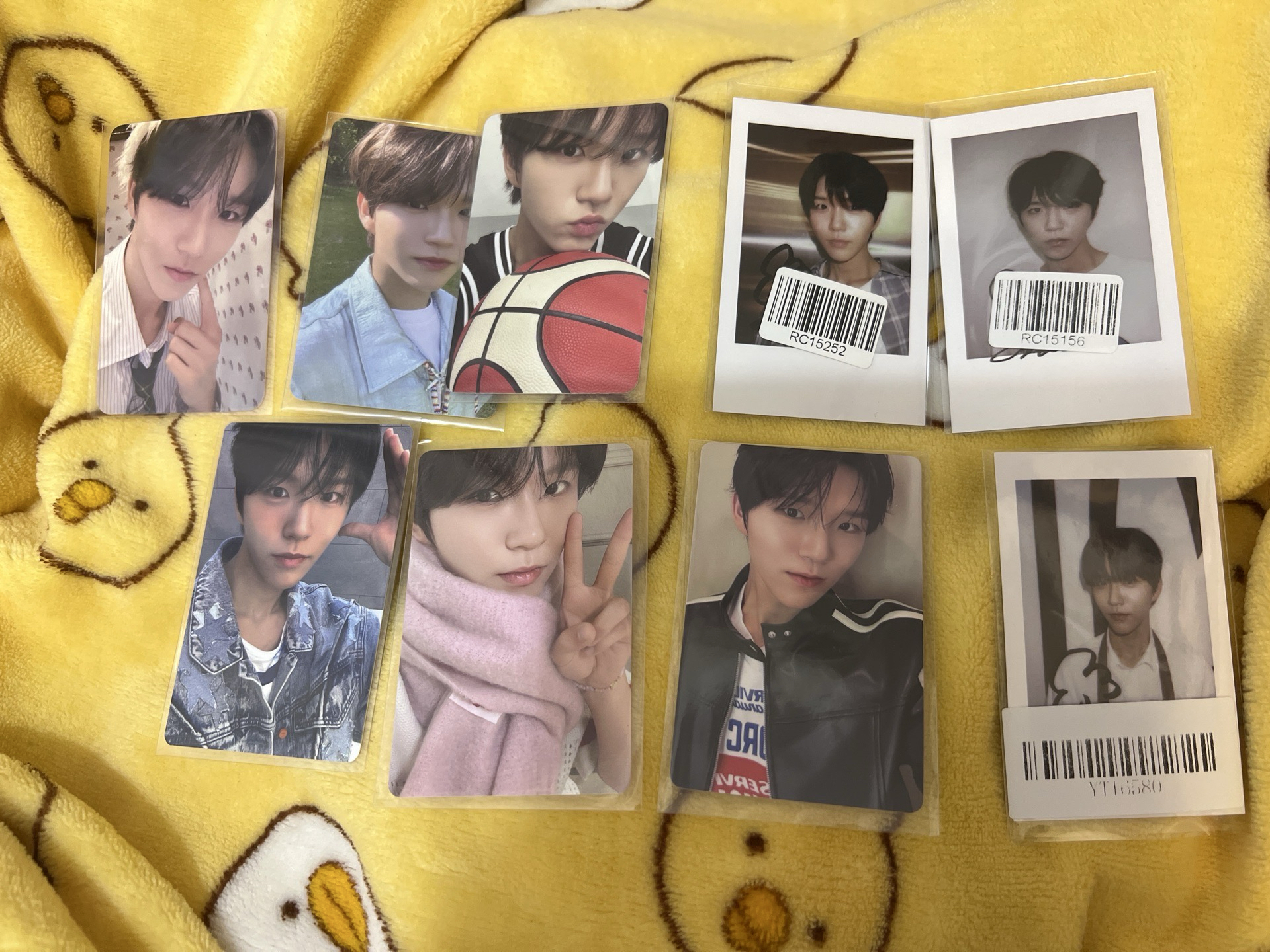 jaehee 小卡 小盤