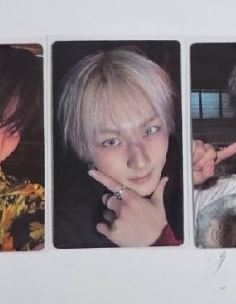 迷六kkt禎元特典卡